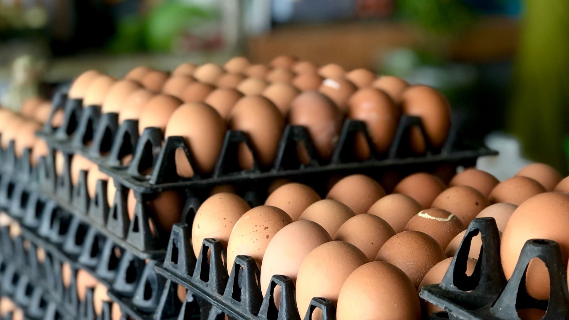black and brown leather sandals on black metal rack