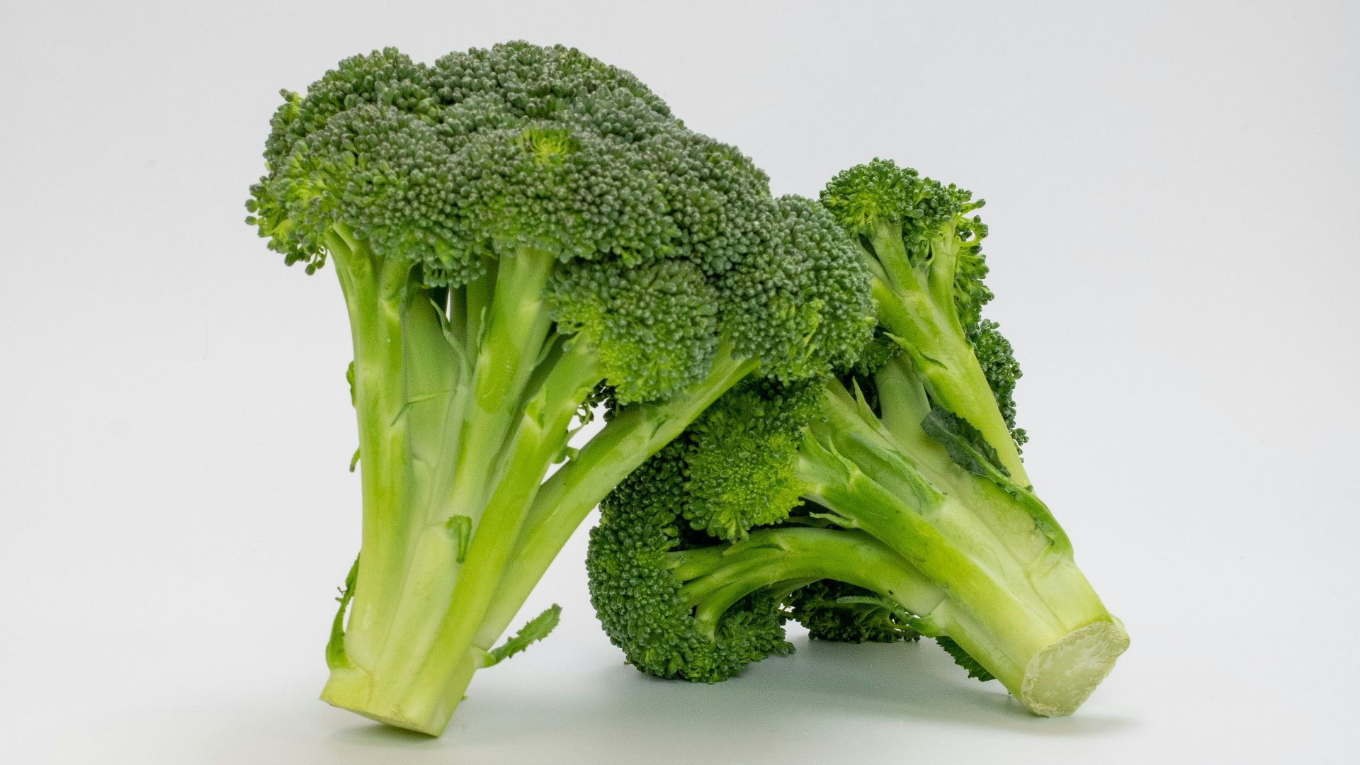 a close up of broccoli on a white background