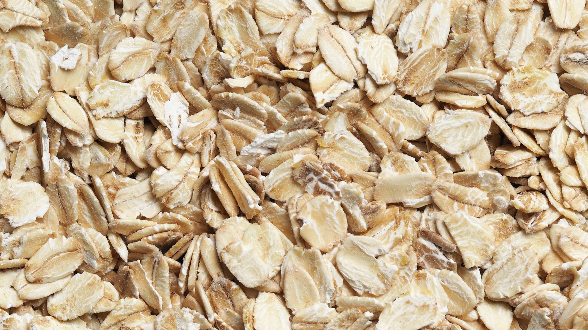 brown dried leaves on ground