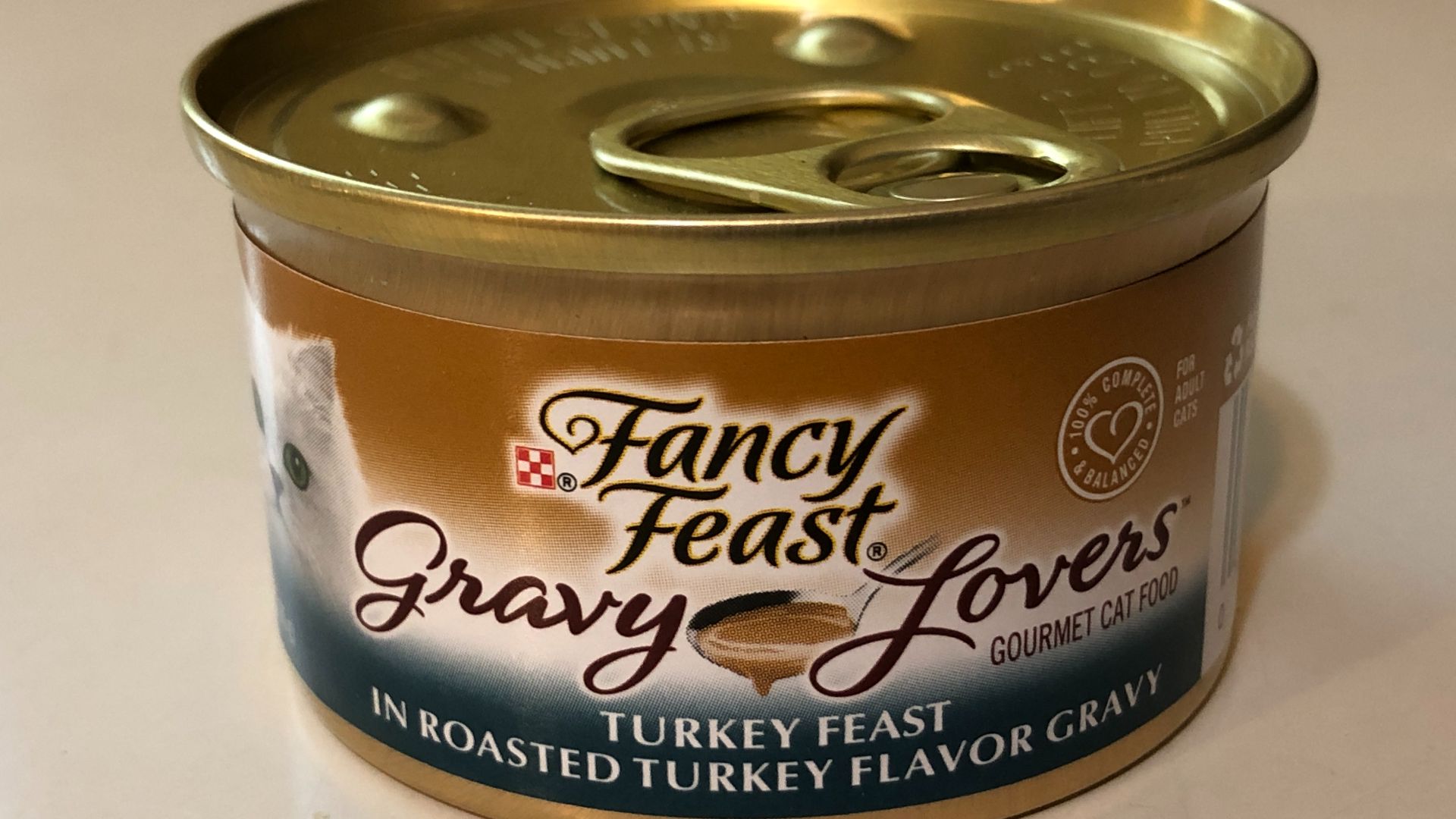 File:2021-10-22 22 54 08 A can of Fancy Feast Gravy Lovers Turkey Feast in Roasted Turkey Flavor Gravy Cat Food in the Franklin Farm section of Oak Hill, Fairfax County, Virginia.jpg