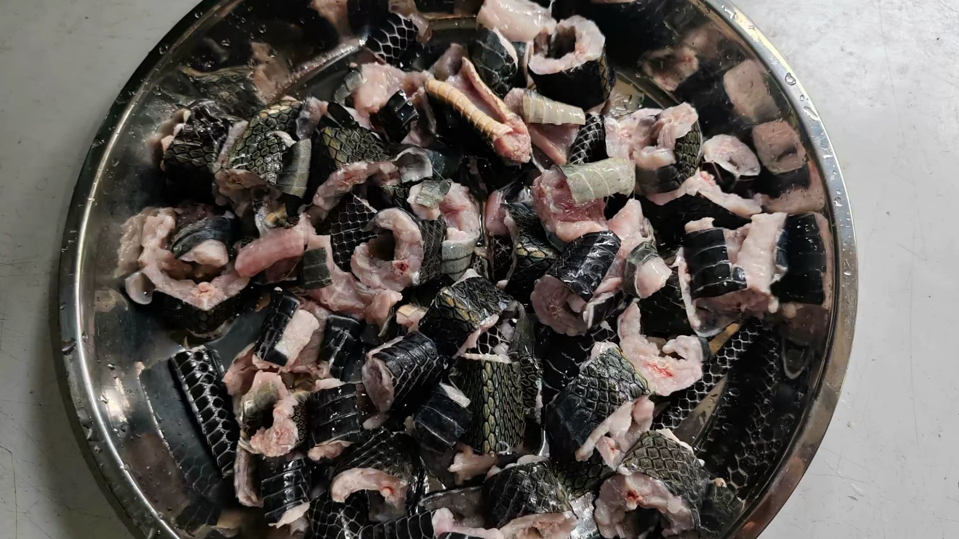 File:Raw snake meat cut into pieces.jpg
