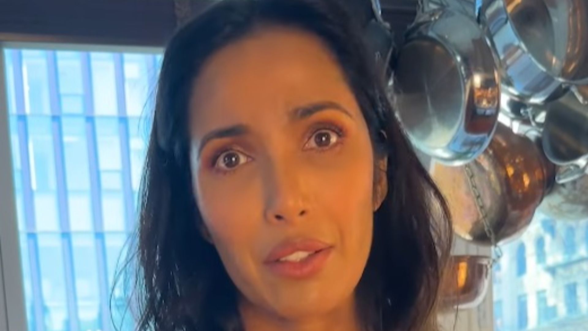 File:Padma Lakshmi in 2023.jpg