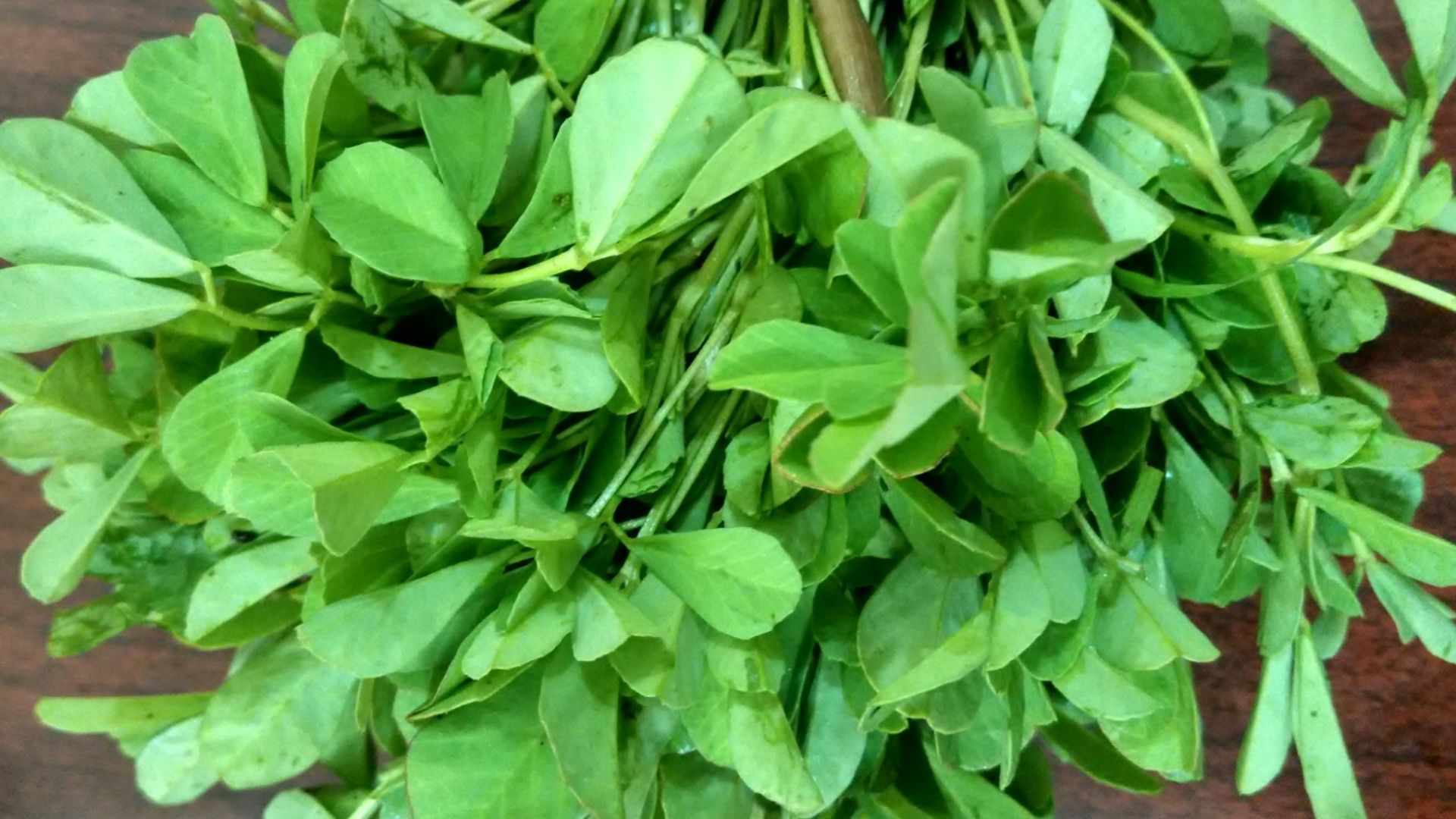File:Aesthetic bunch of fenugreek greens.jpg