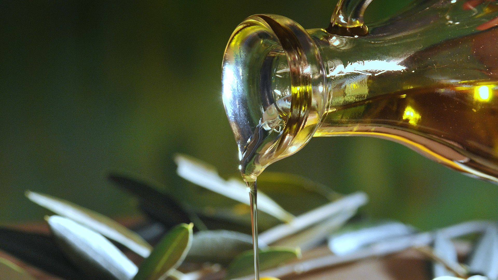 File:Oljcno olje 2824 orig.jpg