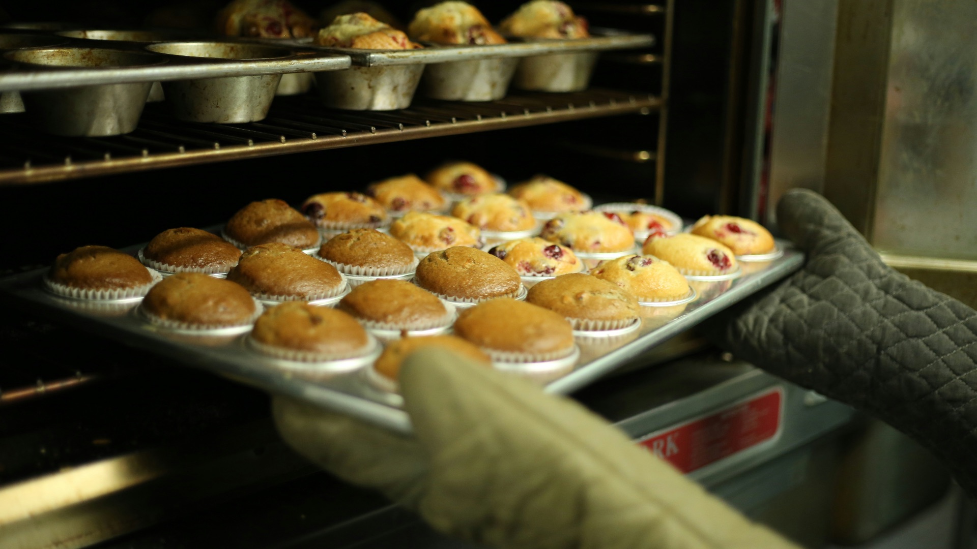 person holds tray of muffins on tray