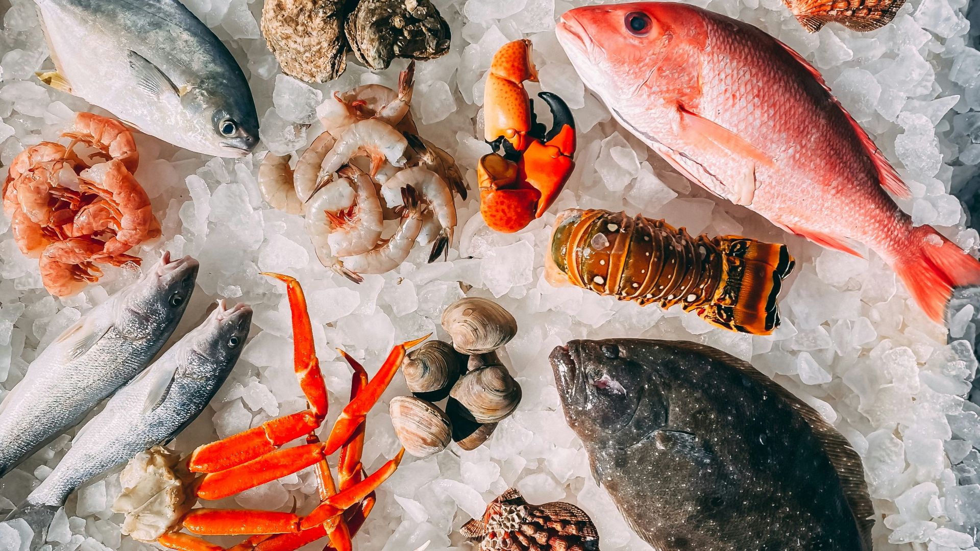 orange and white fish on white and black pebbles