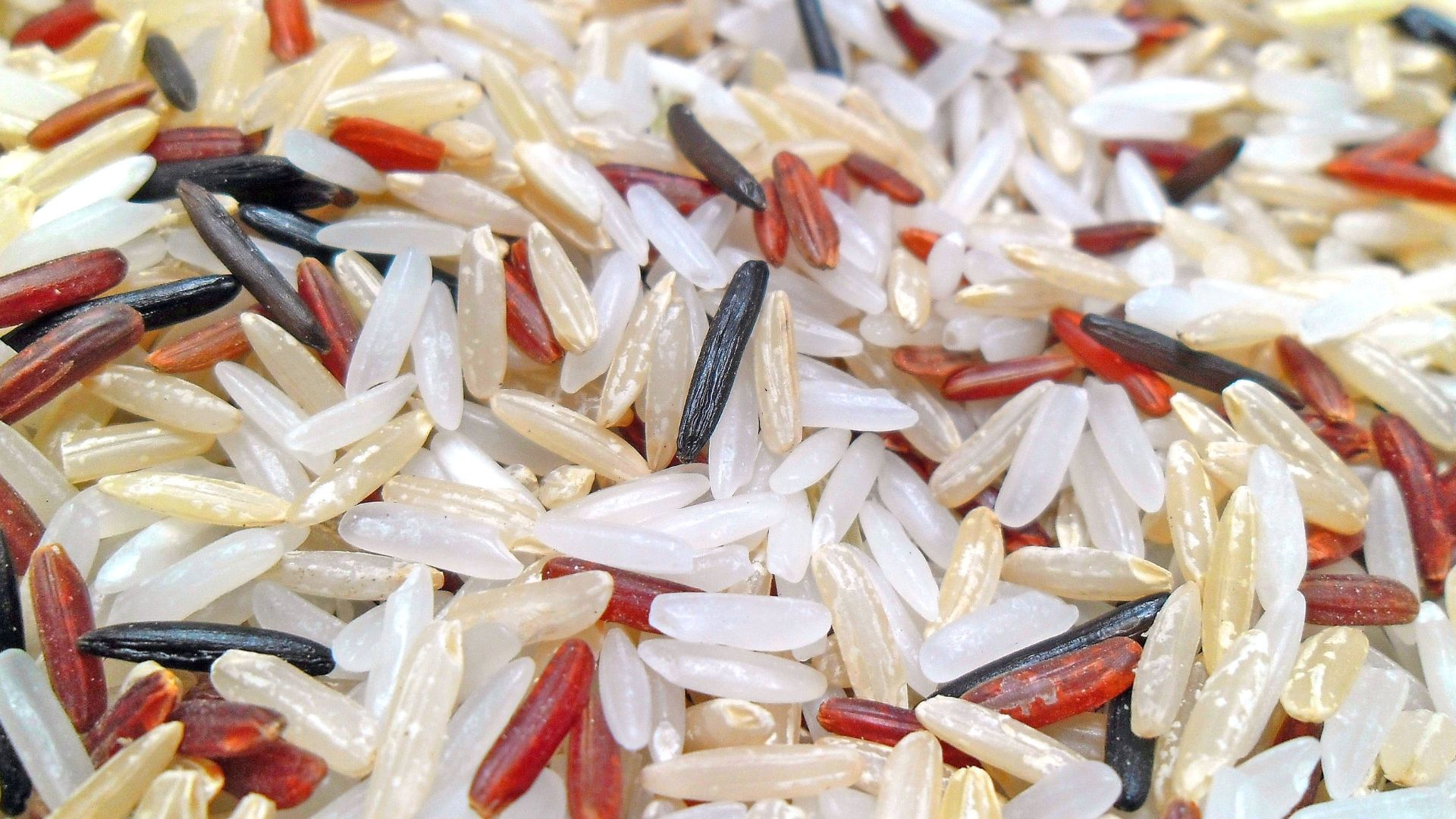 File:White, Brown, Red & Wild rice.jpg
