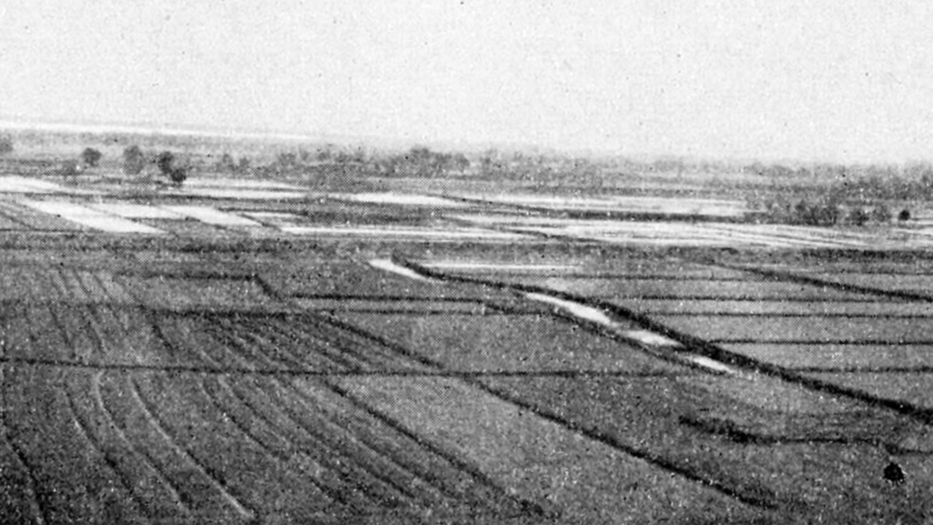 File:Farmers of forty centuries - Landscape of rice fields in China.jpg