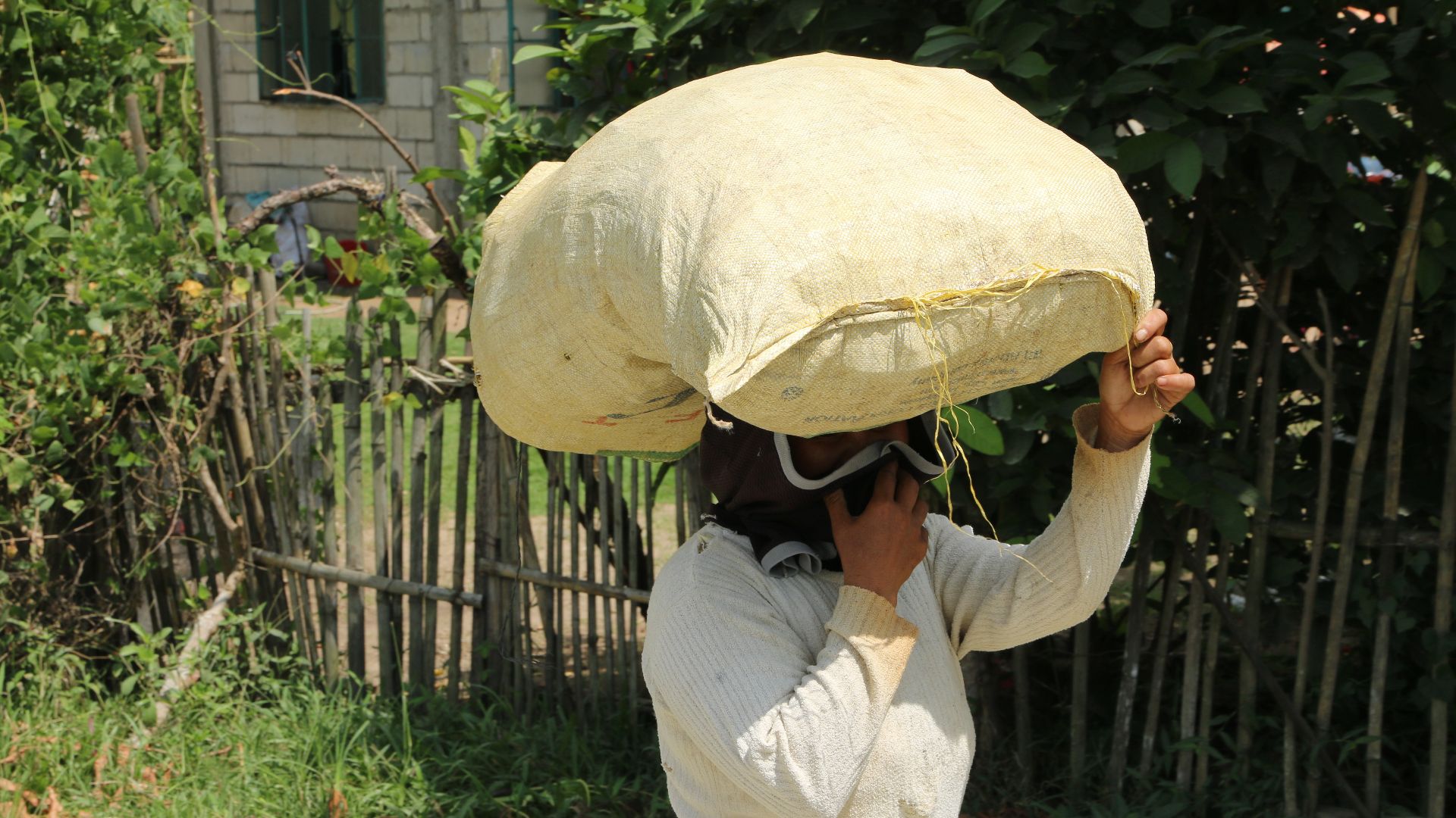 File:Woman carrying a bag of rice on head in Bohol.jpg