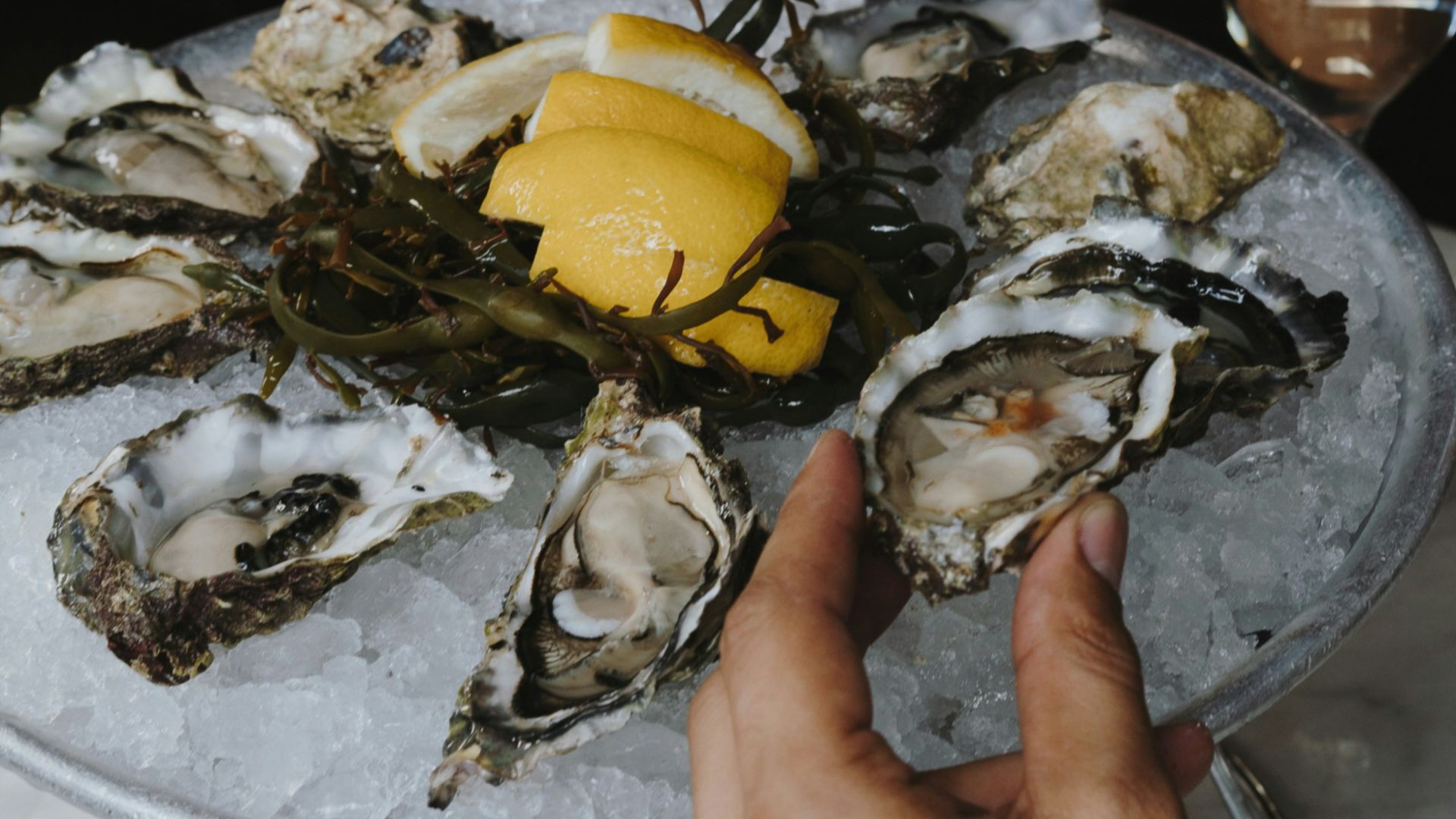 a person holding a plate of oysters with lemon wedges