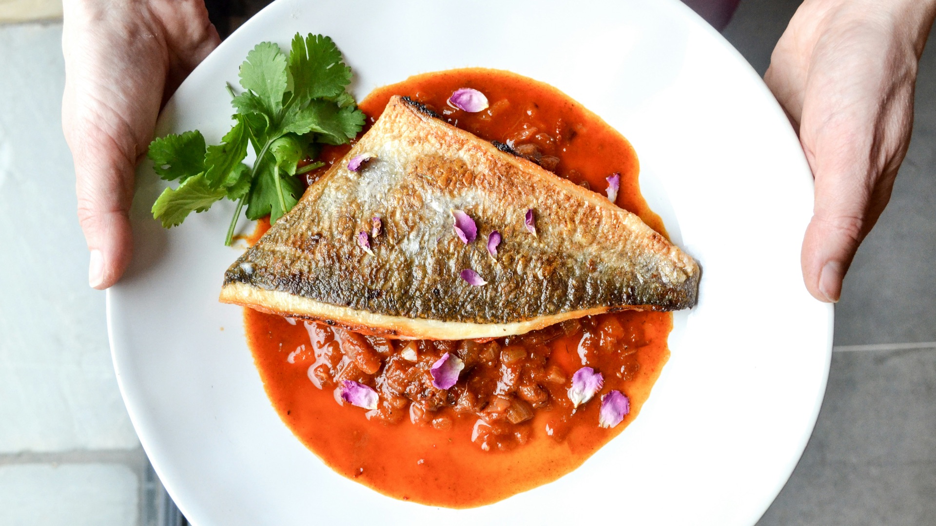 person serving salmon dish