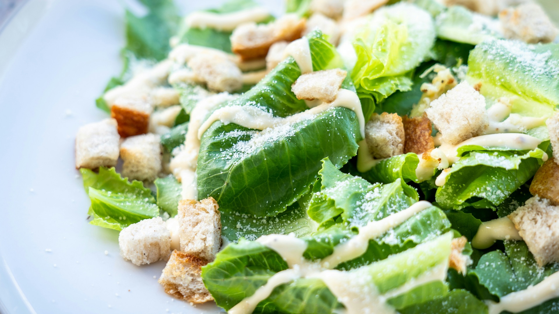 closed photography of vegetable salad with croutons in plate