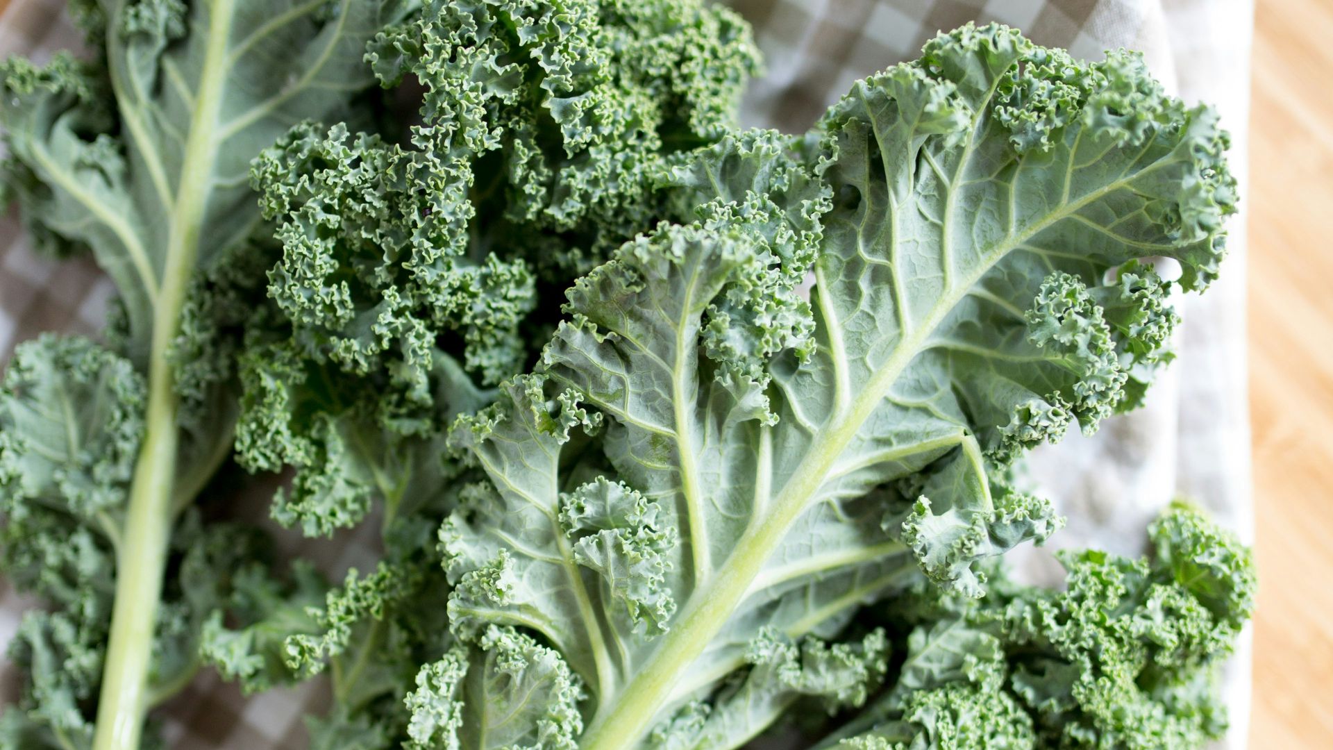 green leaf vegetable