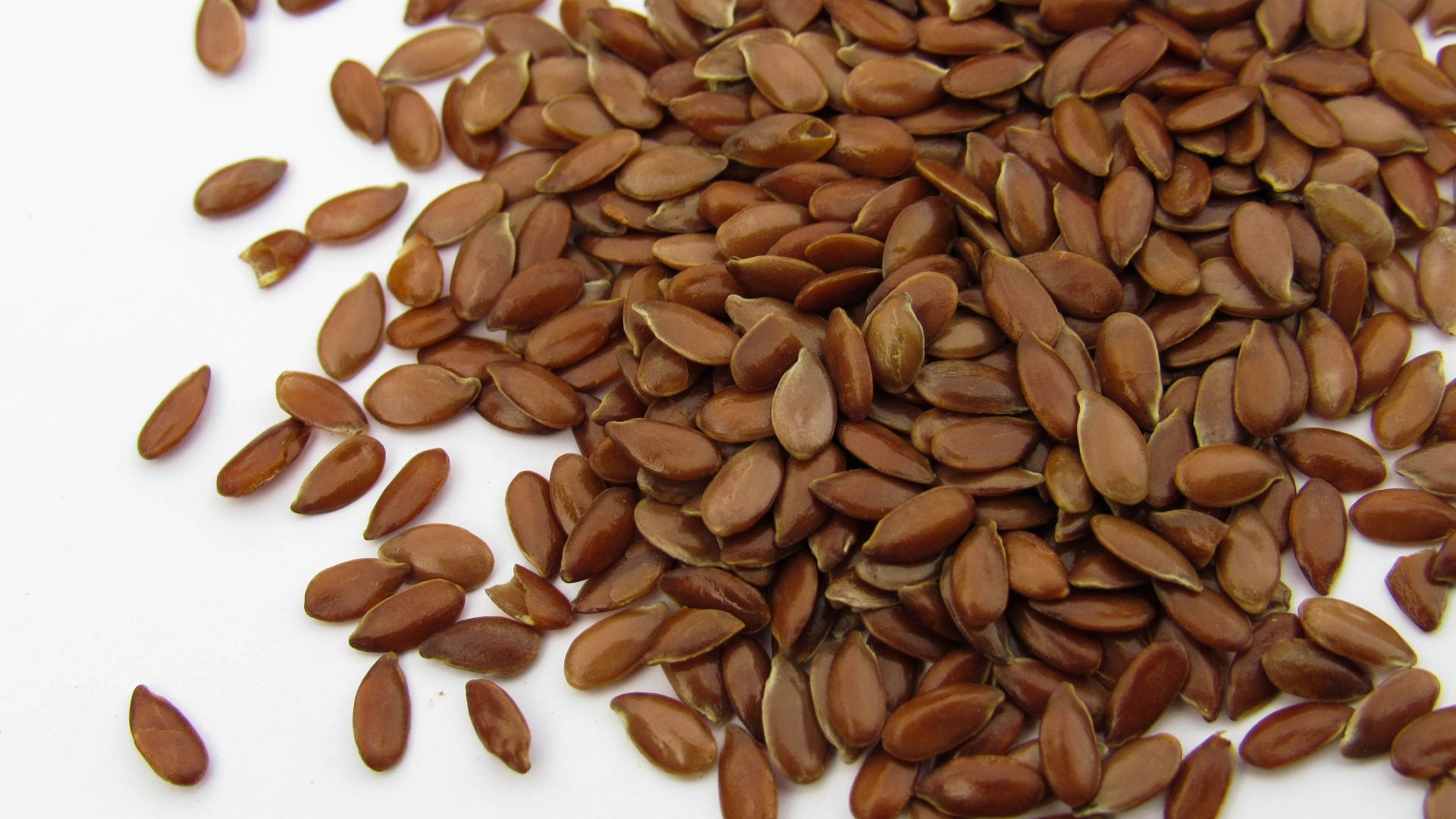 a pile of sunflower seeds on a white surface
