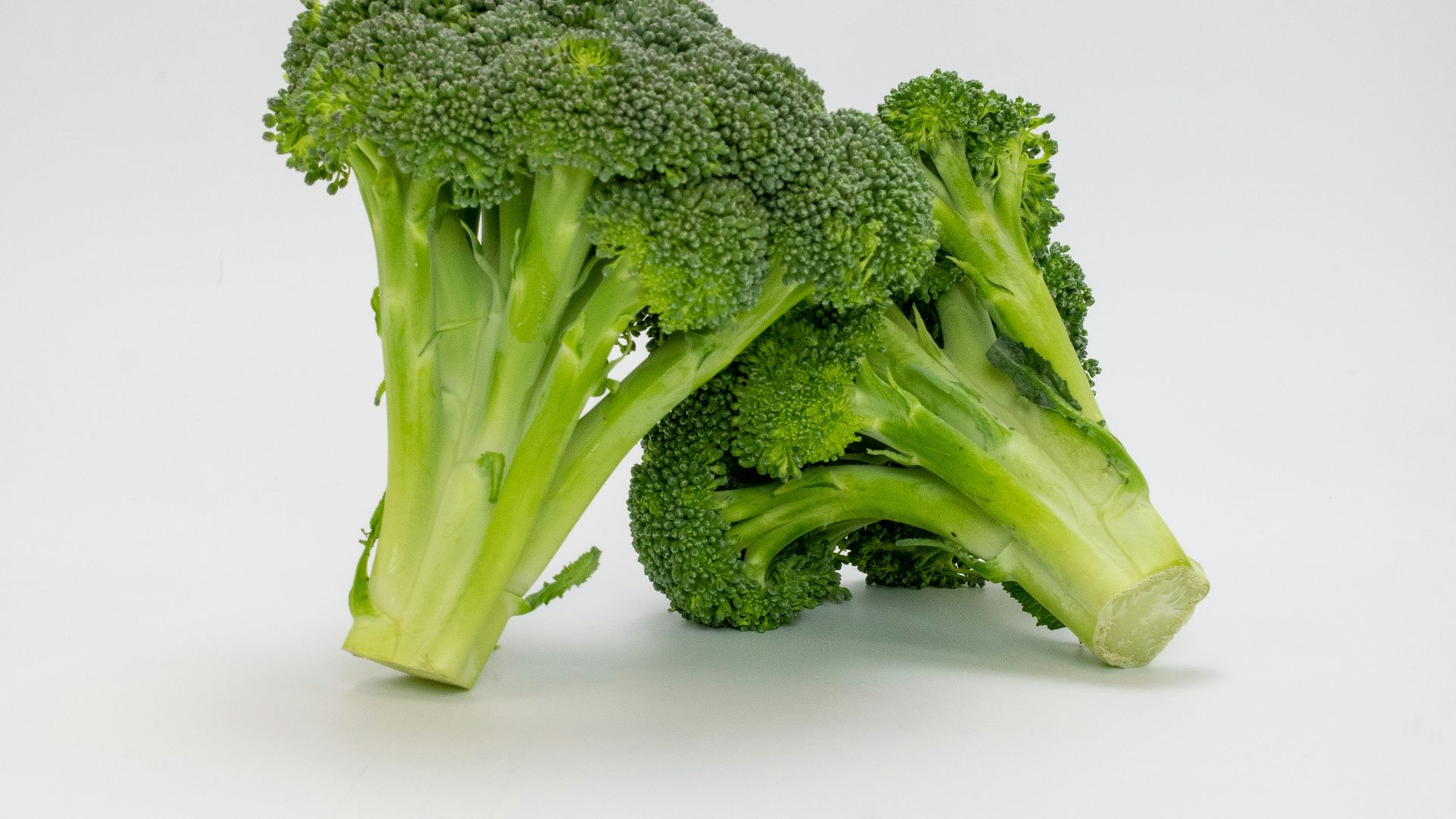 a close up of broccoli on a white background