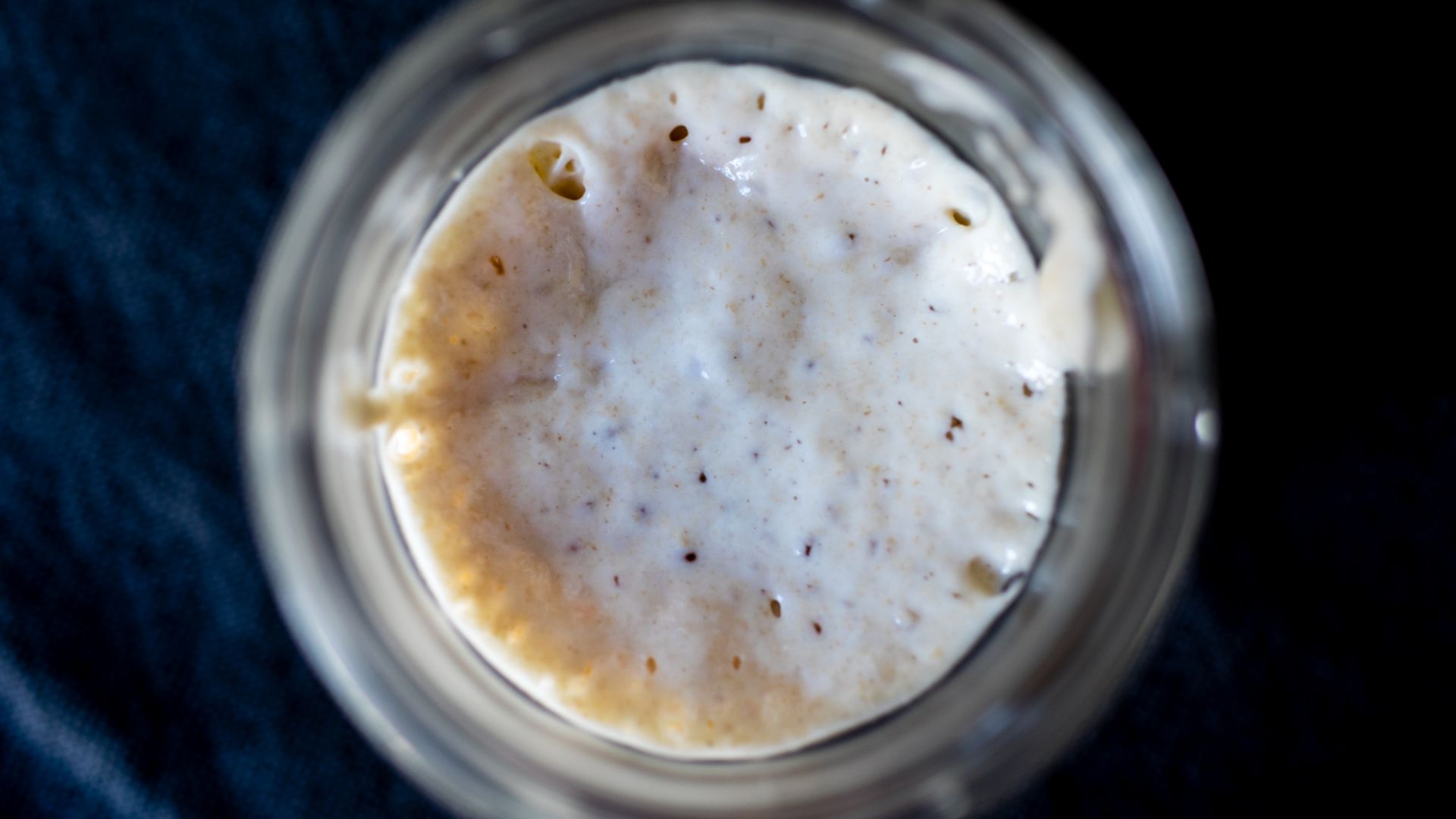 File:Active sourdough starter (49883187806).jpg