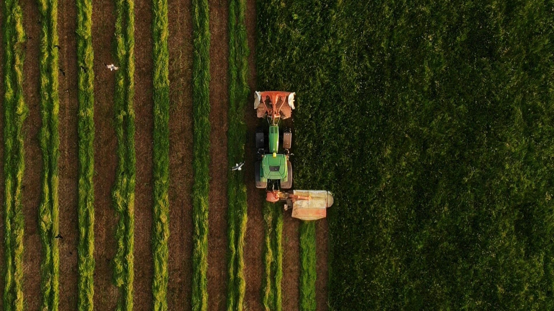 an aerial view of a tractor plowing a field