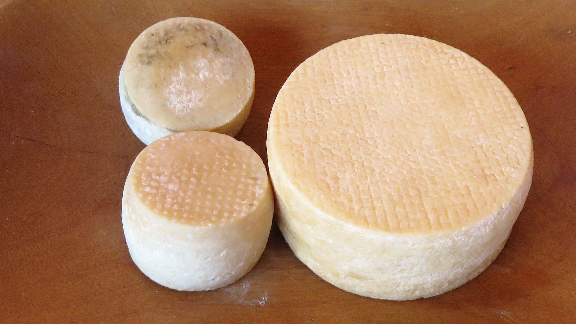 File:Cheese of Brazil (20298711736).jpg