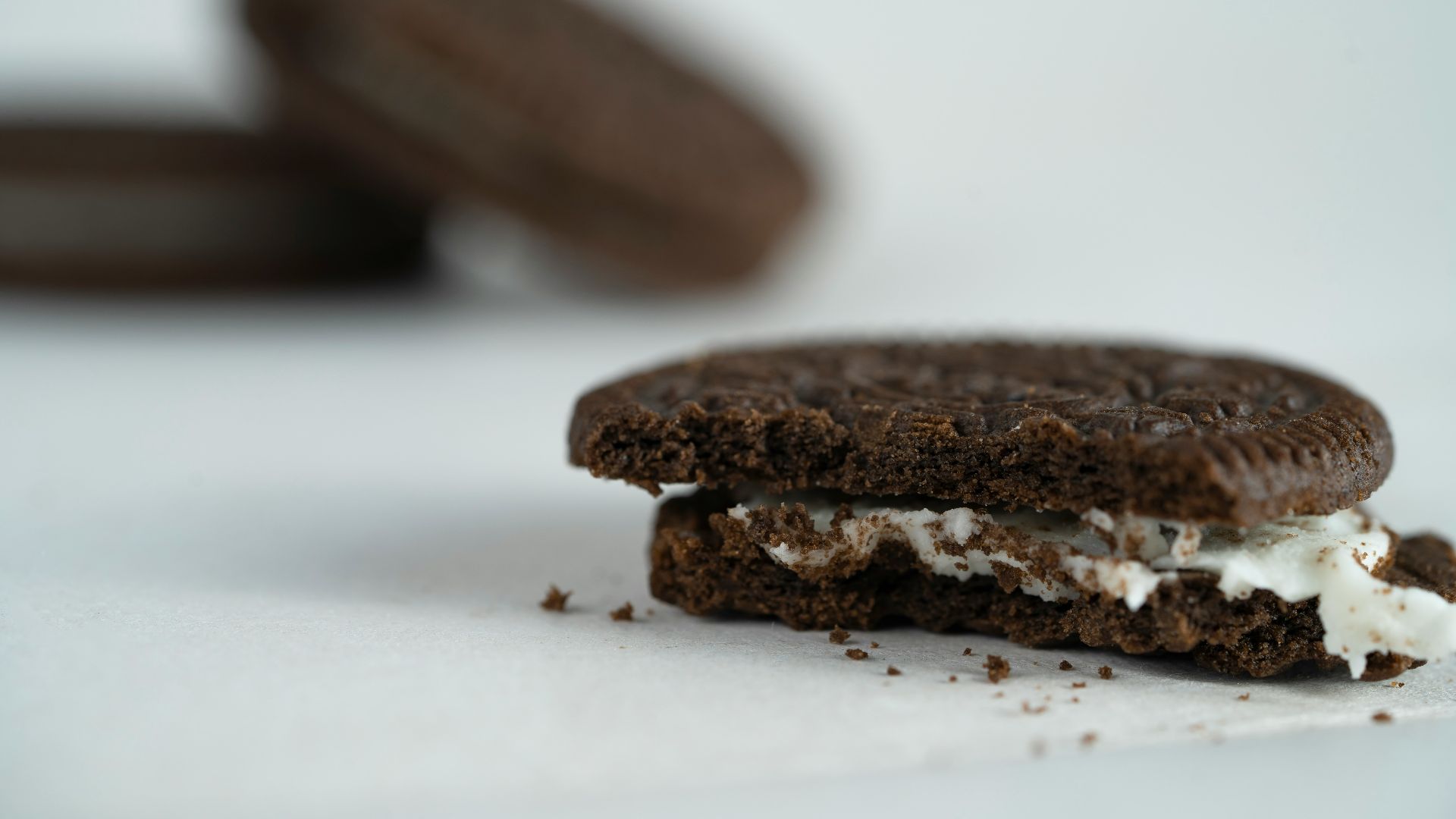 brown and black stones on white surface