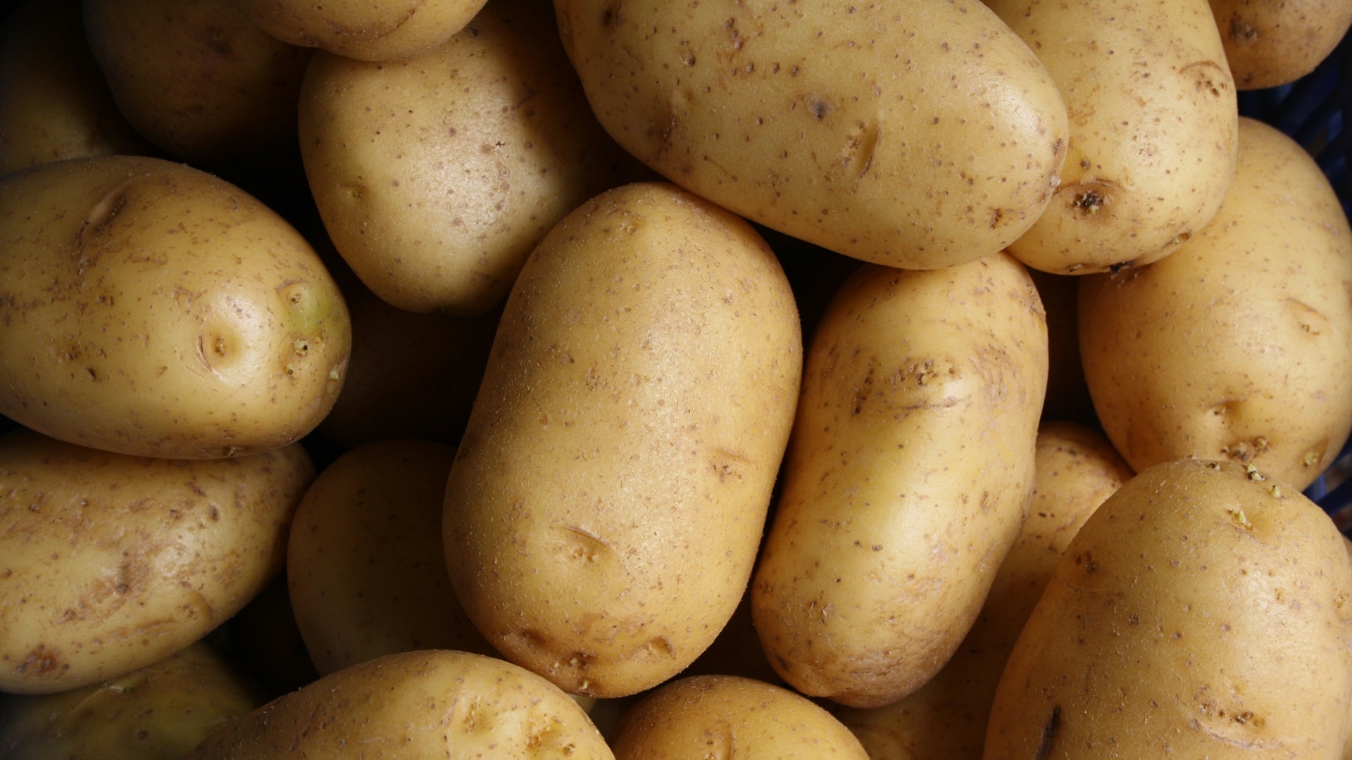 brown potato lot