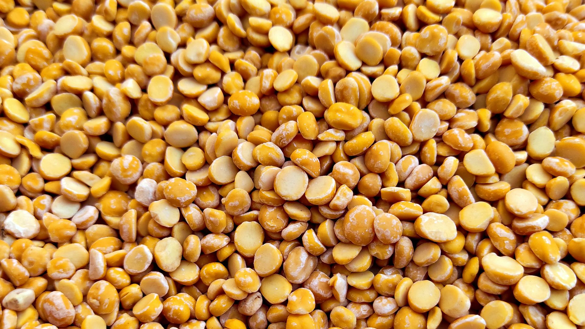 yellow and brown beans on brown wooden table