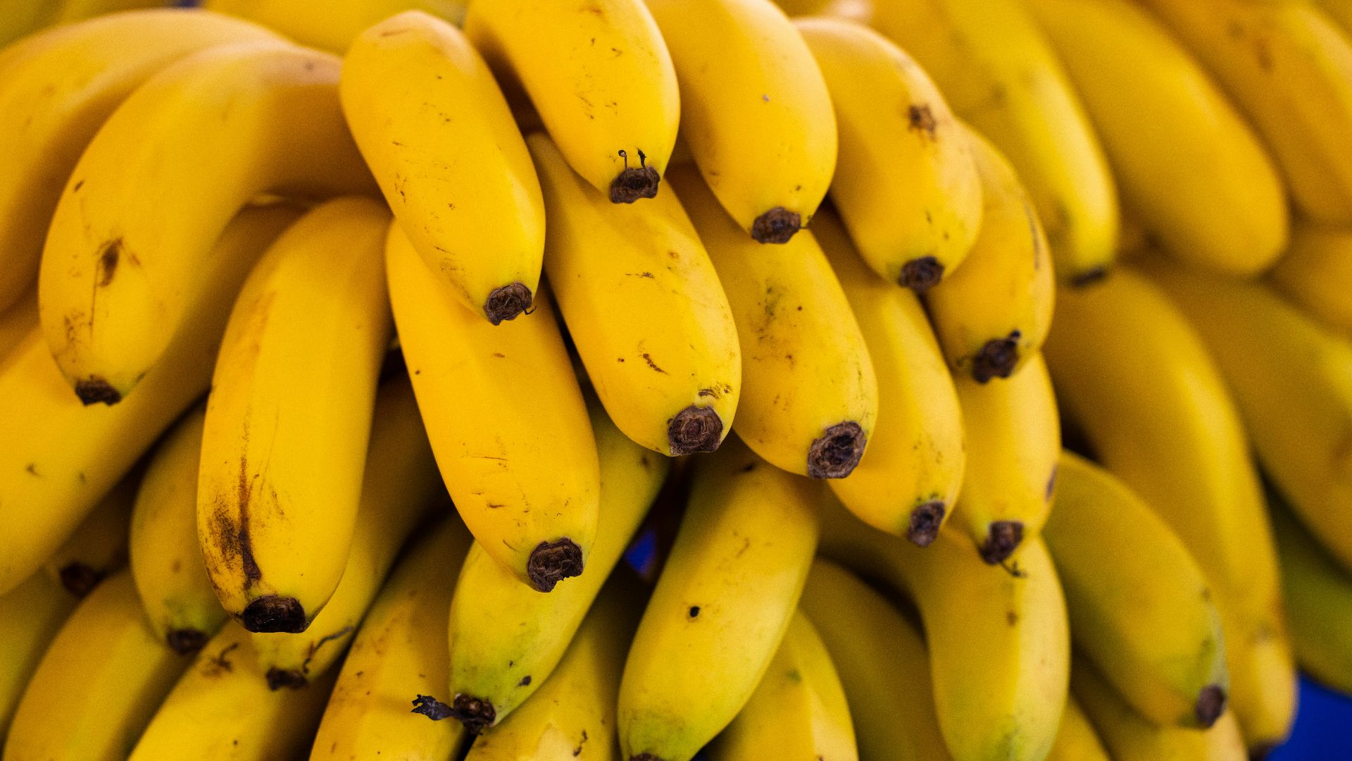 a bunch of bananas sitting on top of a blue table