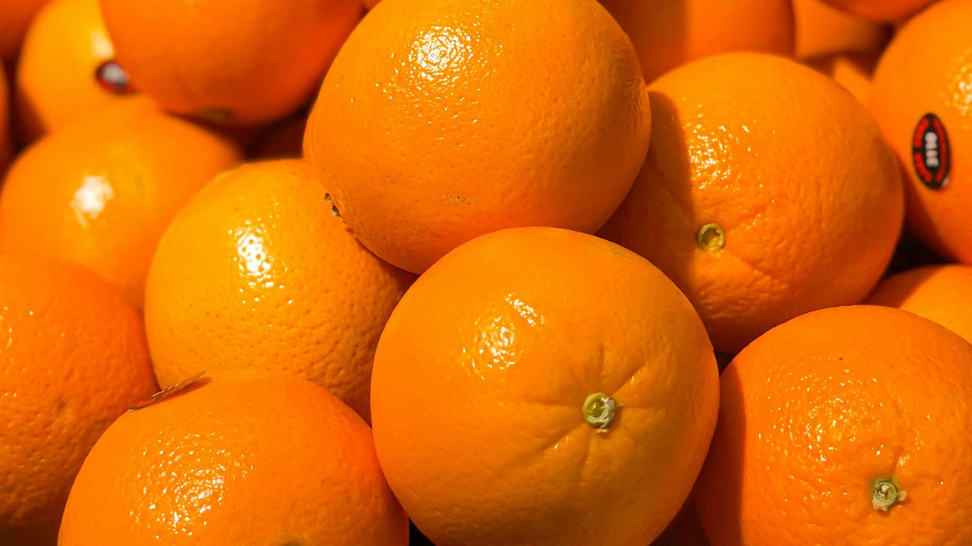 orange fruits on white ceramic plate