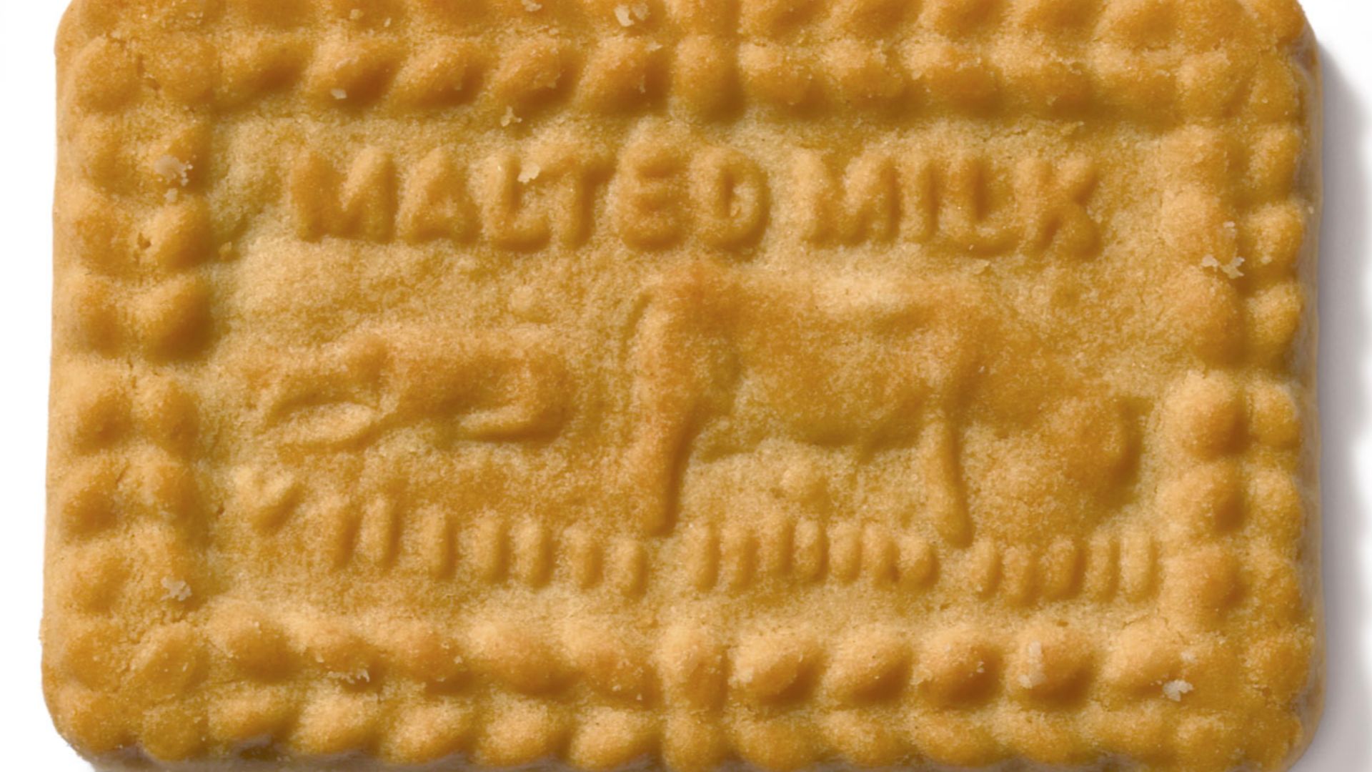 File:Malted Milk biscuit.jpg
