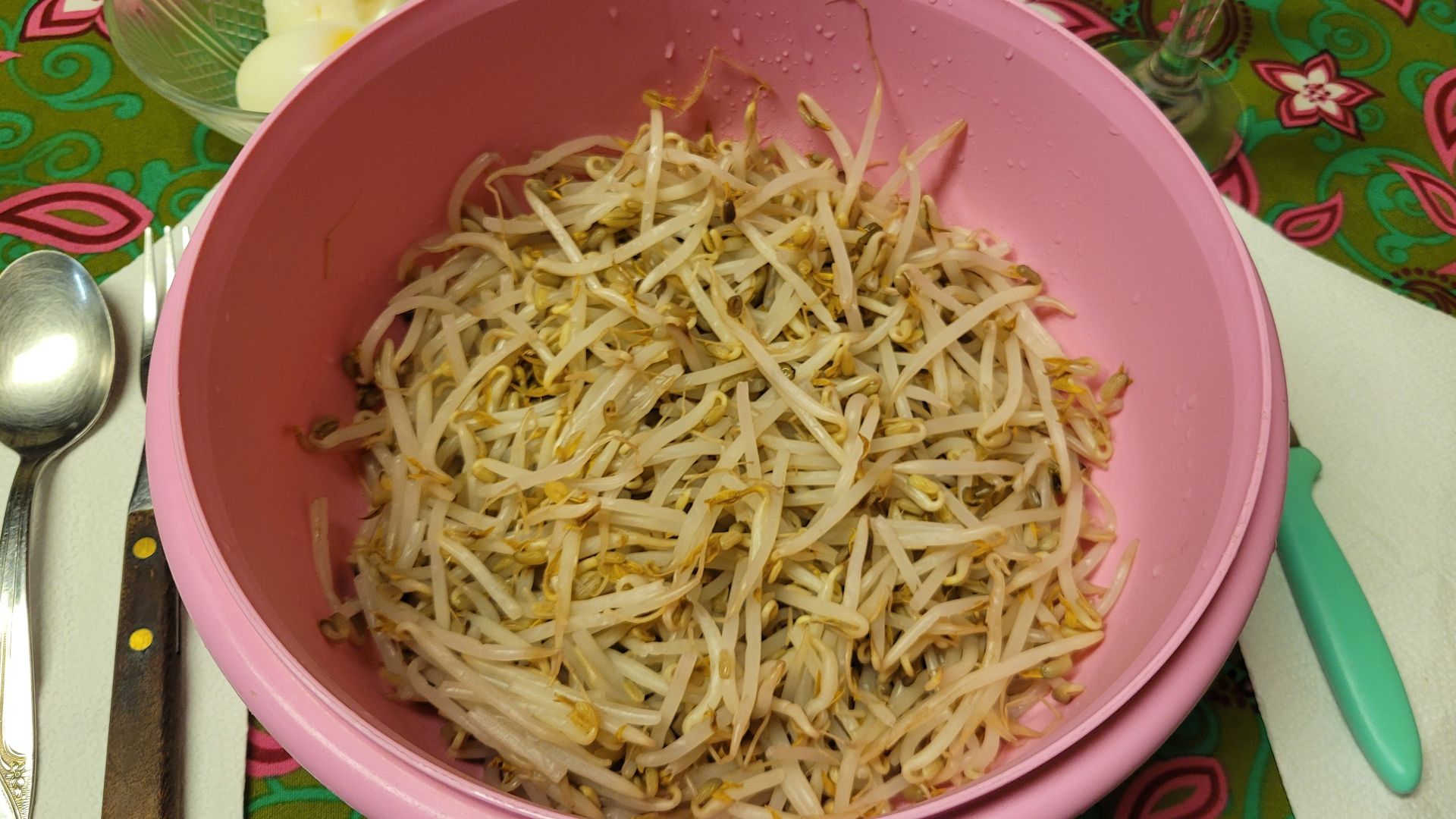 File:Soja hervida (boiled soybeans).jpg