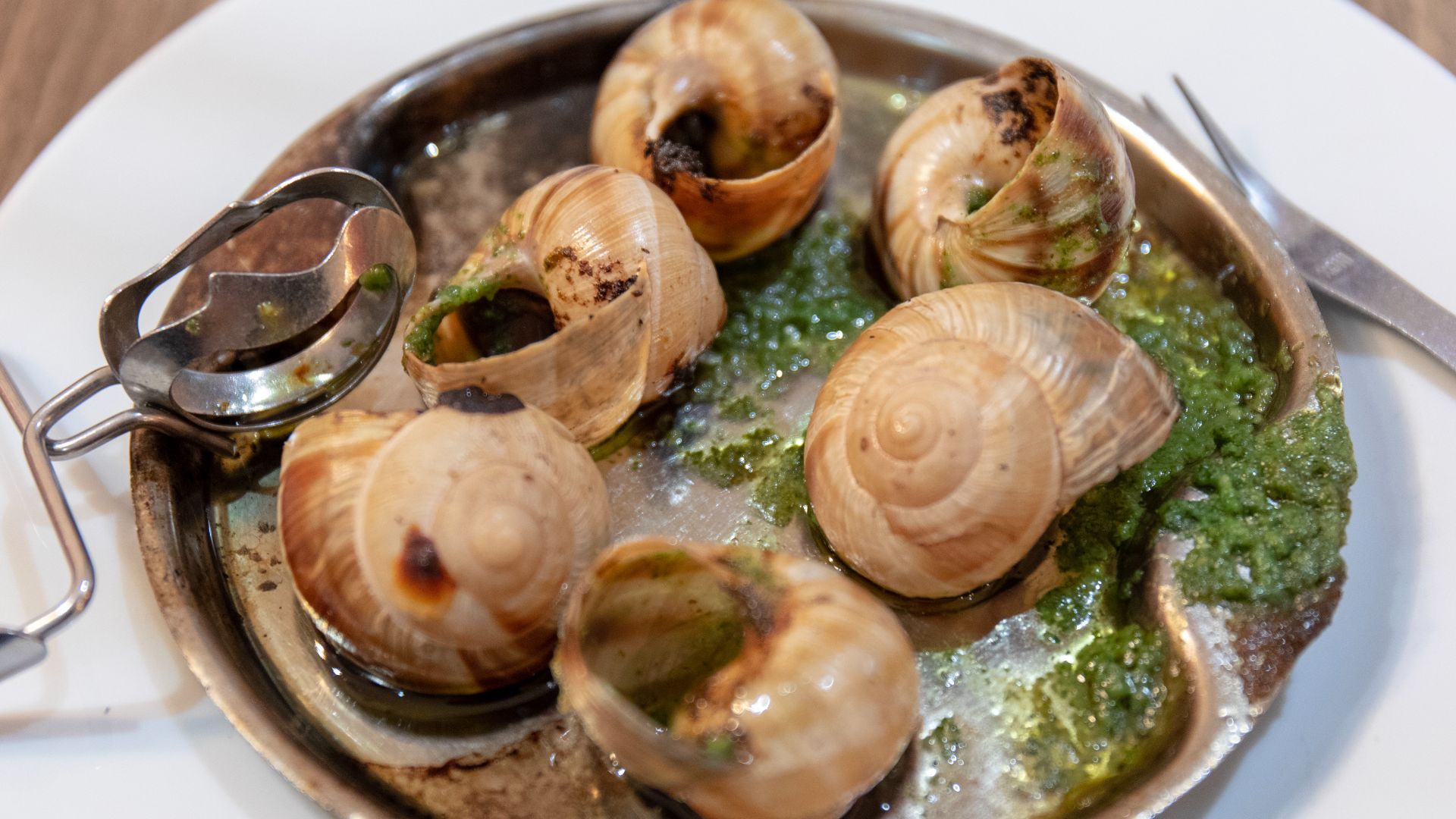 File:Escargots on dish.jpg