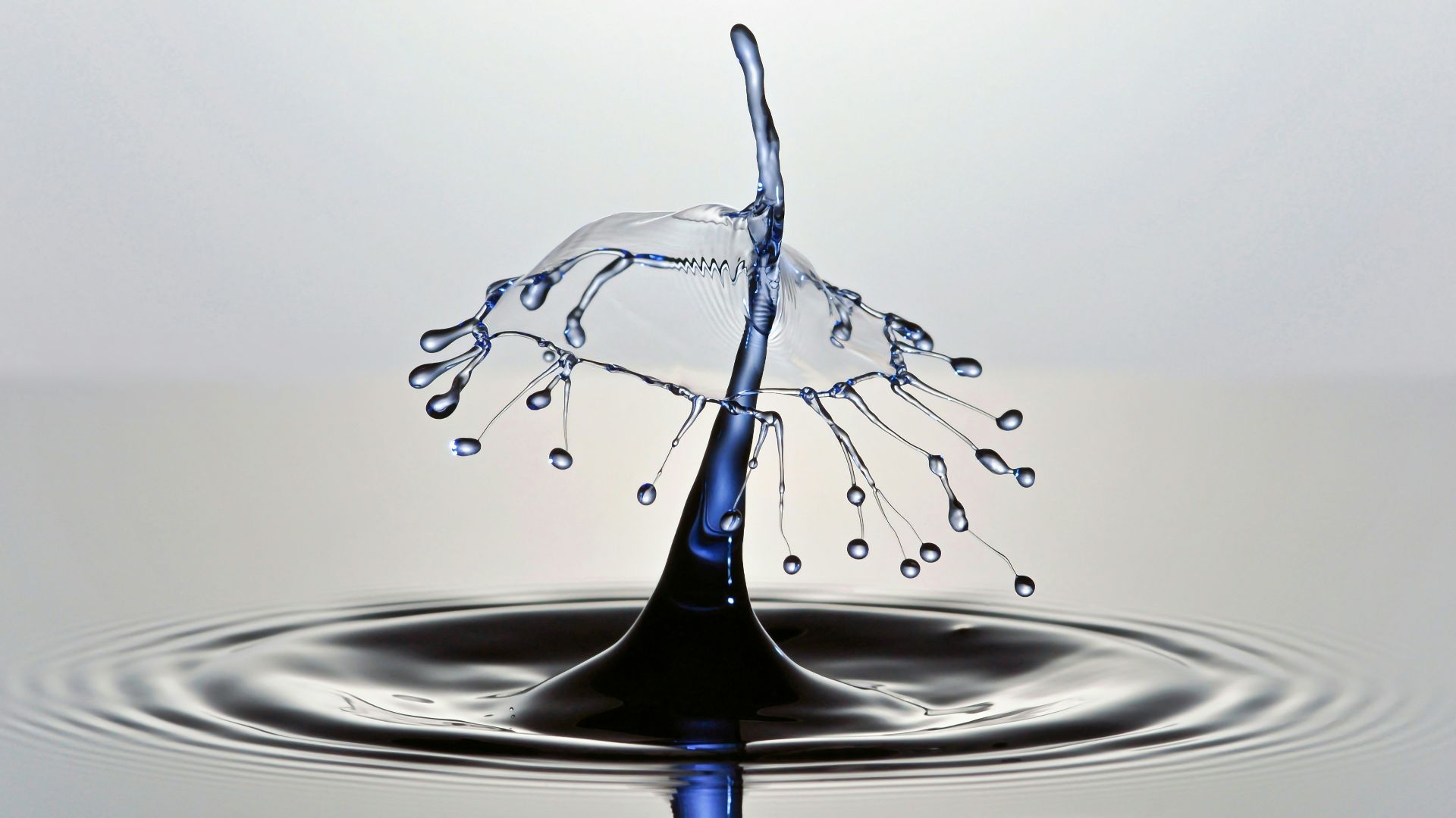 A water drop creates a beautiful shape.