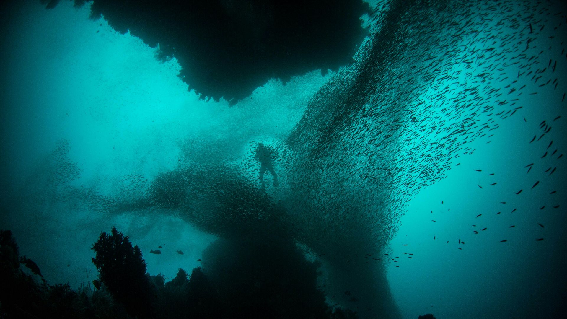 photo of person in body of water