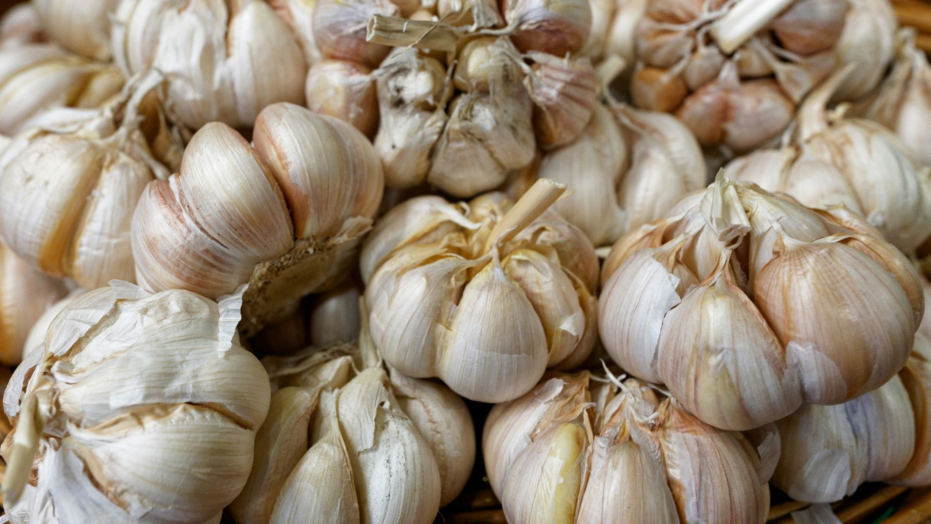 a basket filled with lots of garlic on top of a table