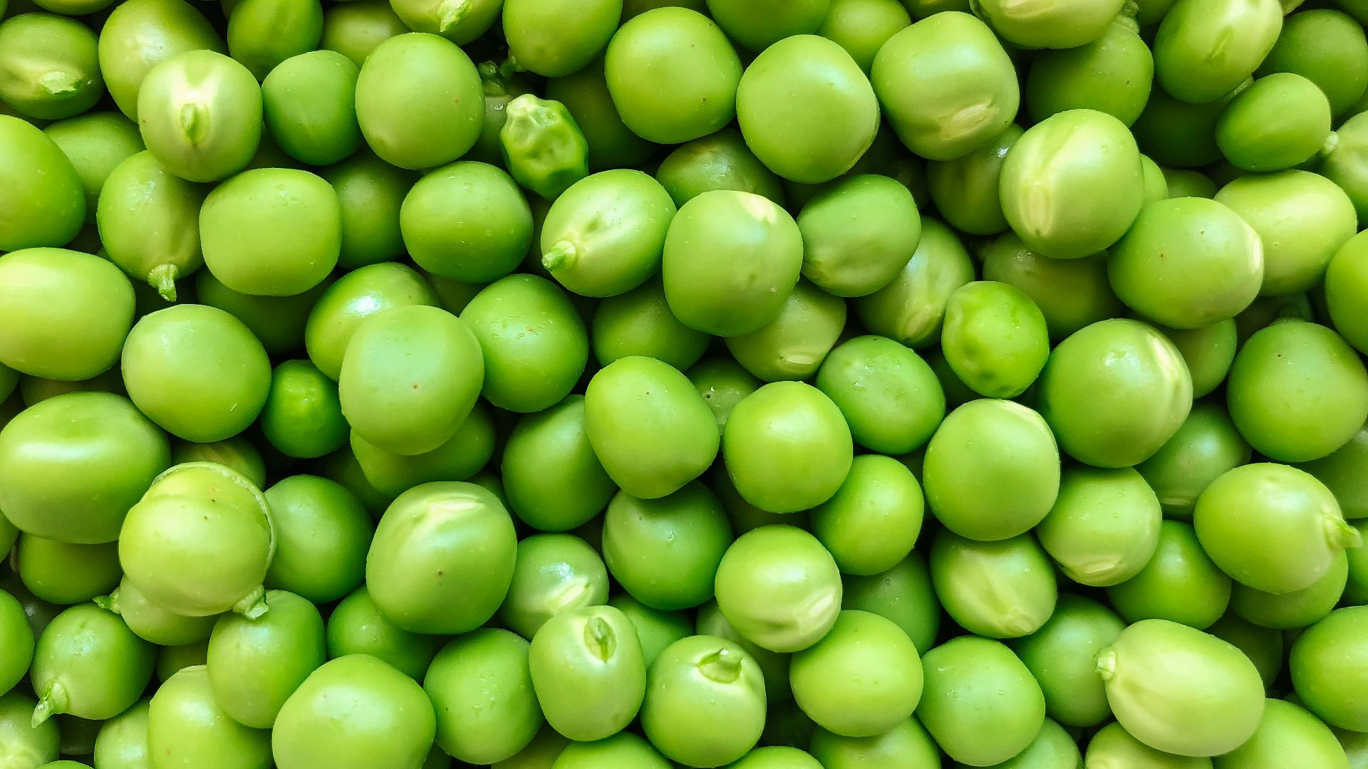 green round fruits in close up photography