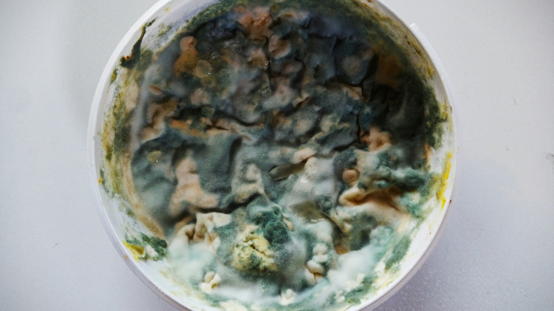 a white bowl filled with food on top of a table