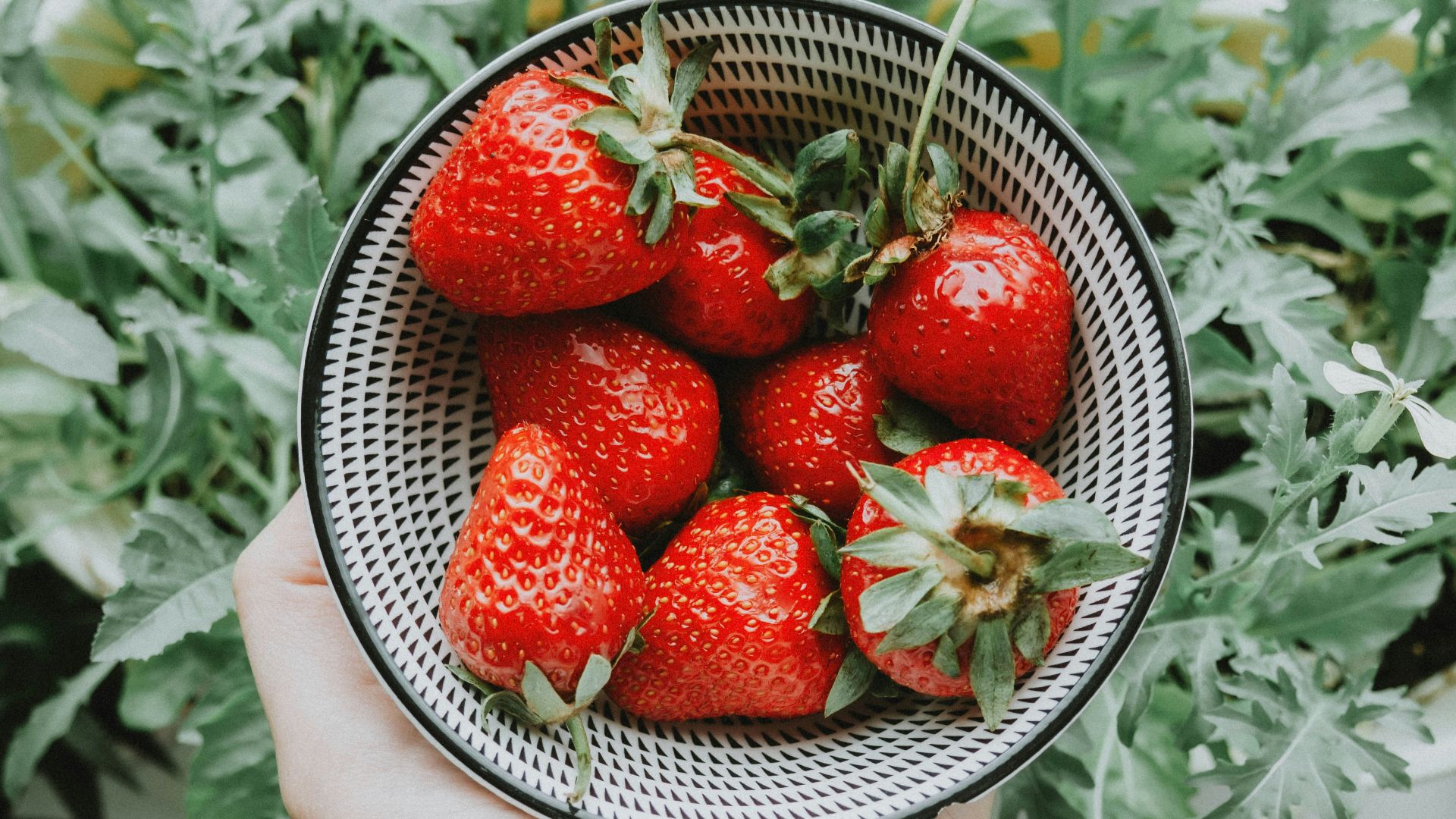 strawberries on stainless steel bowl