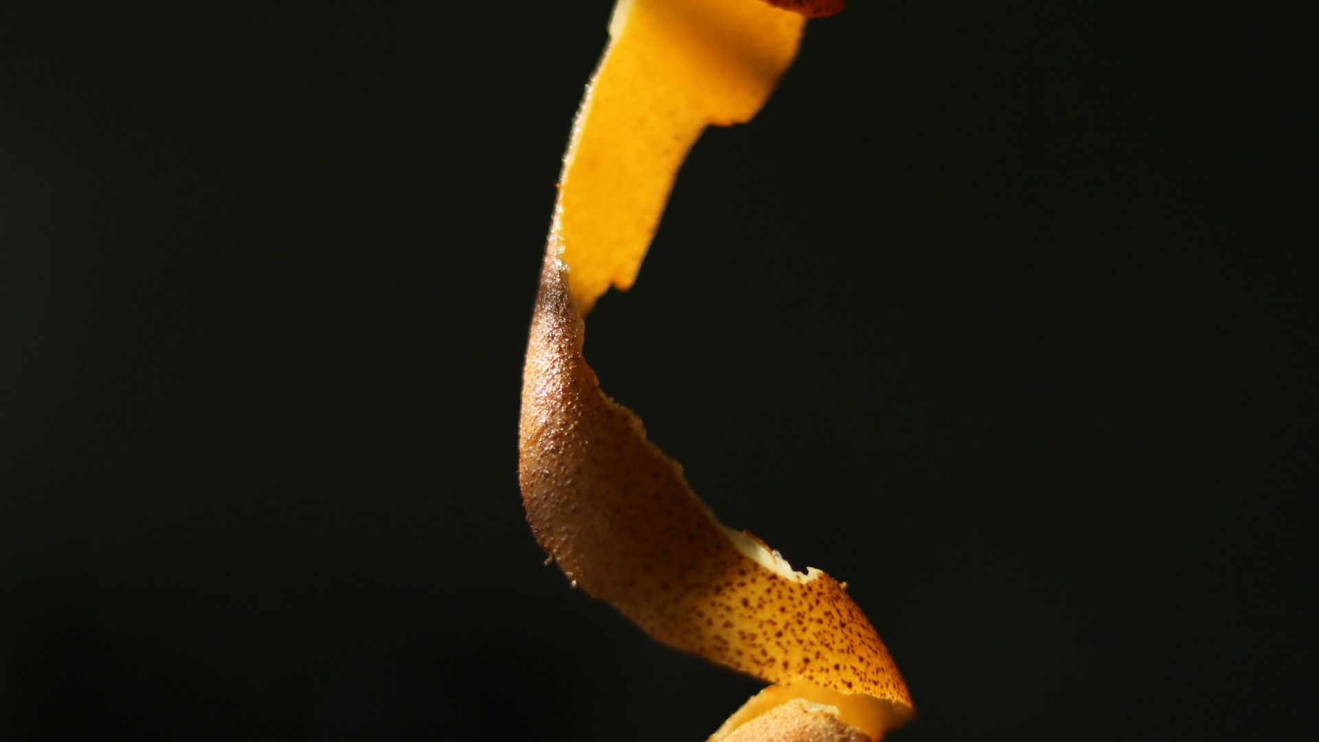 Orange peel spiral against dark background
