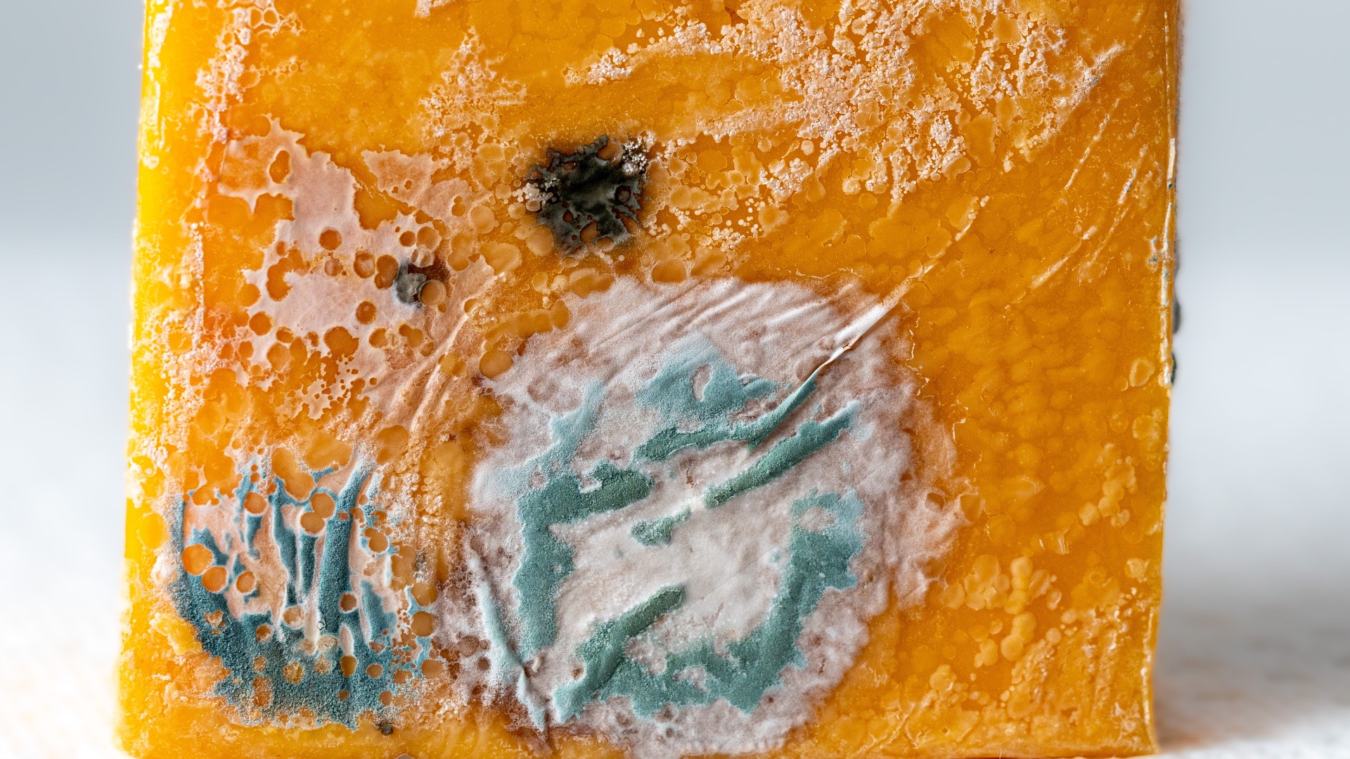 1792526775dc1f9a27ea80d0f433ccf216602ec06284bfe0e3.jpeg