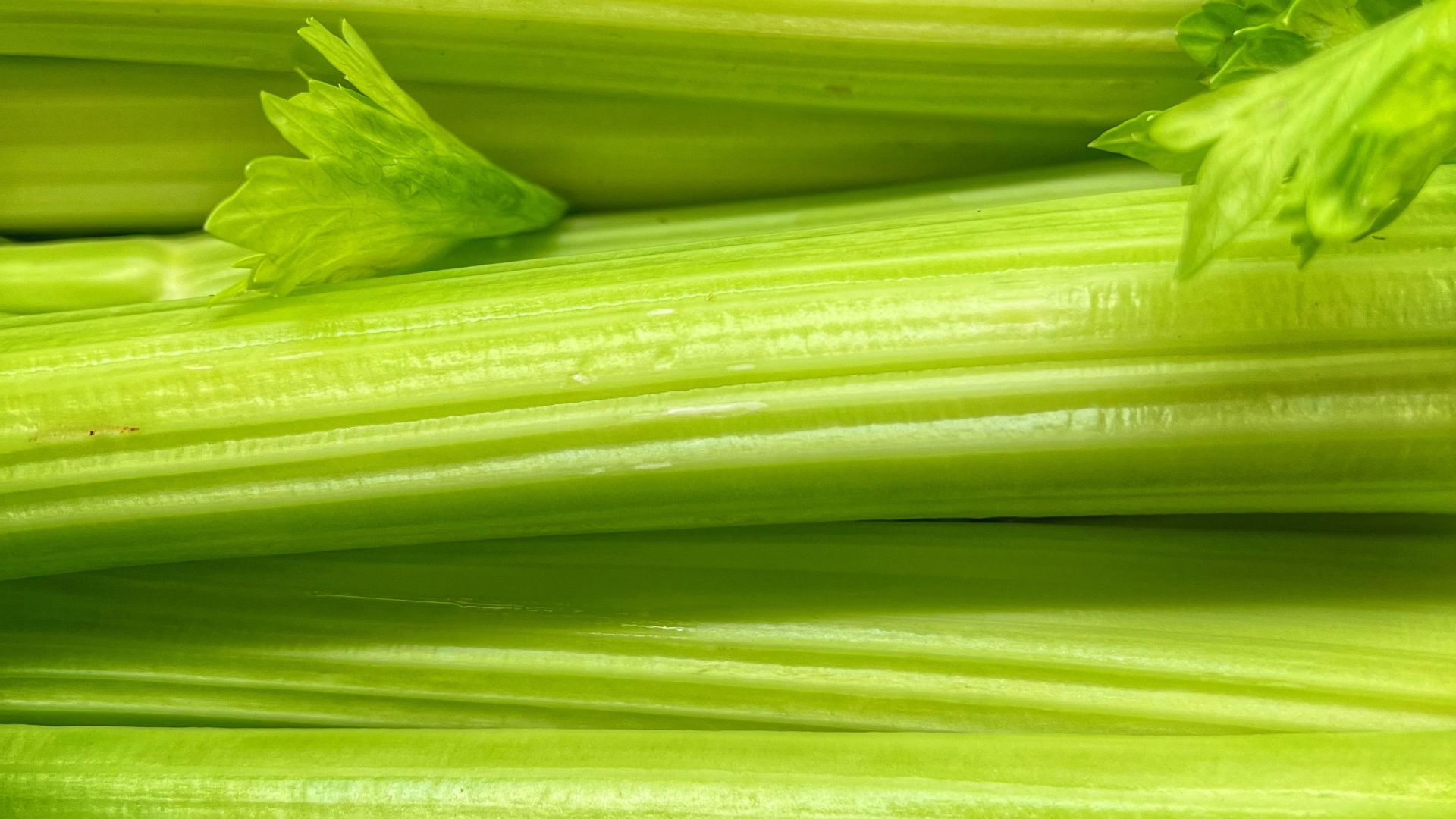 1792765411d0537511cfff9005ce94506151b284865ab9503d.jpeg
