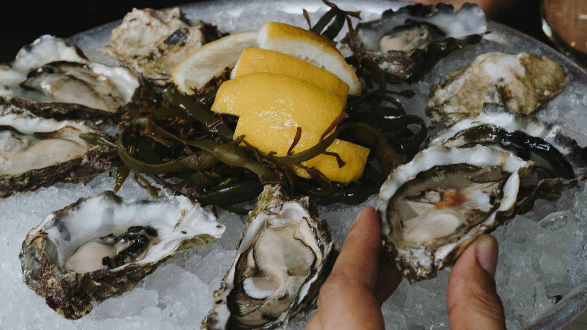 a person holding a plate of oysters with lemon wedges