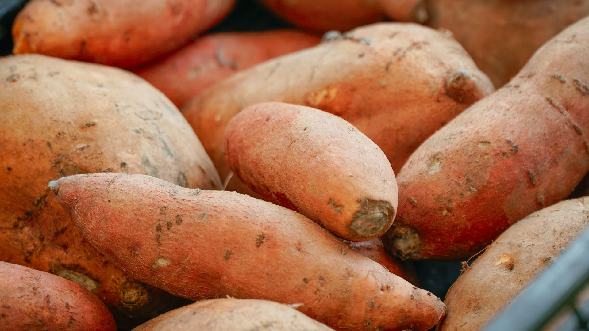 A pile of sweet potatoes in a basket.