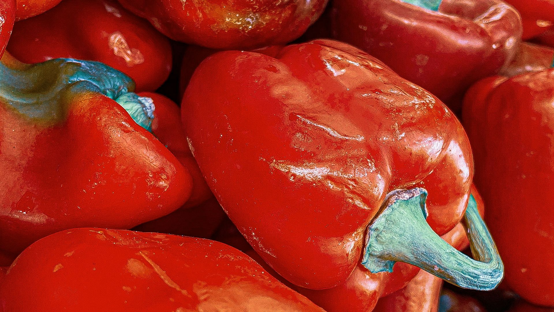 a pile of red peppers sitting next to each other