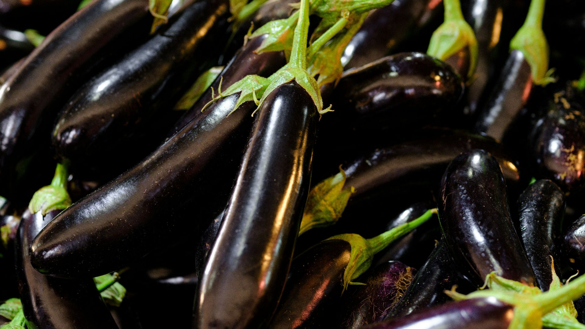 a pile of purple eggplant with green stems