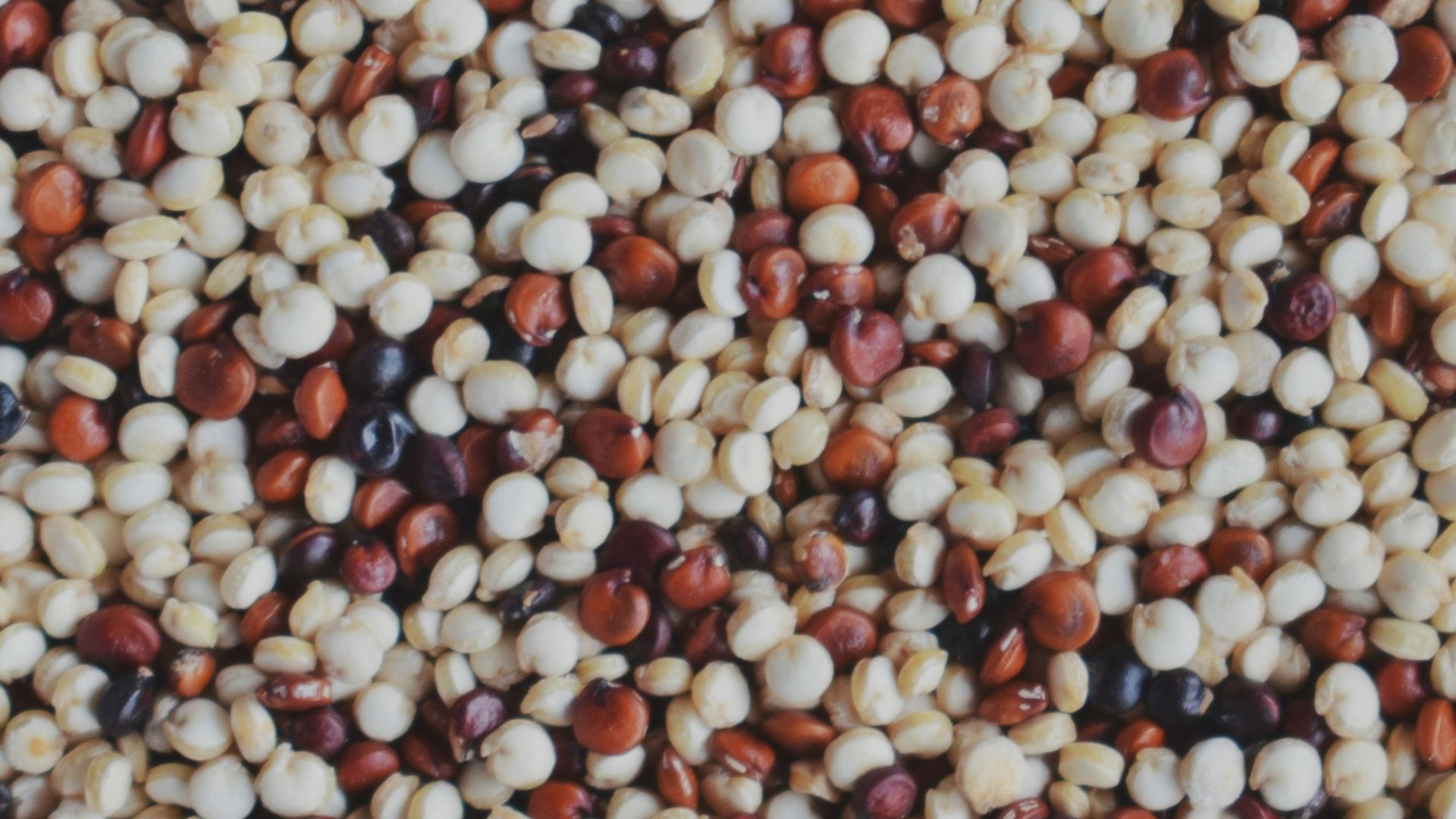 A close up of a bunch of food