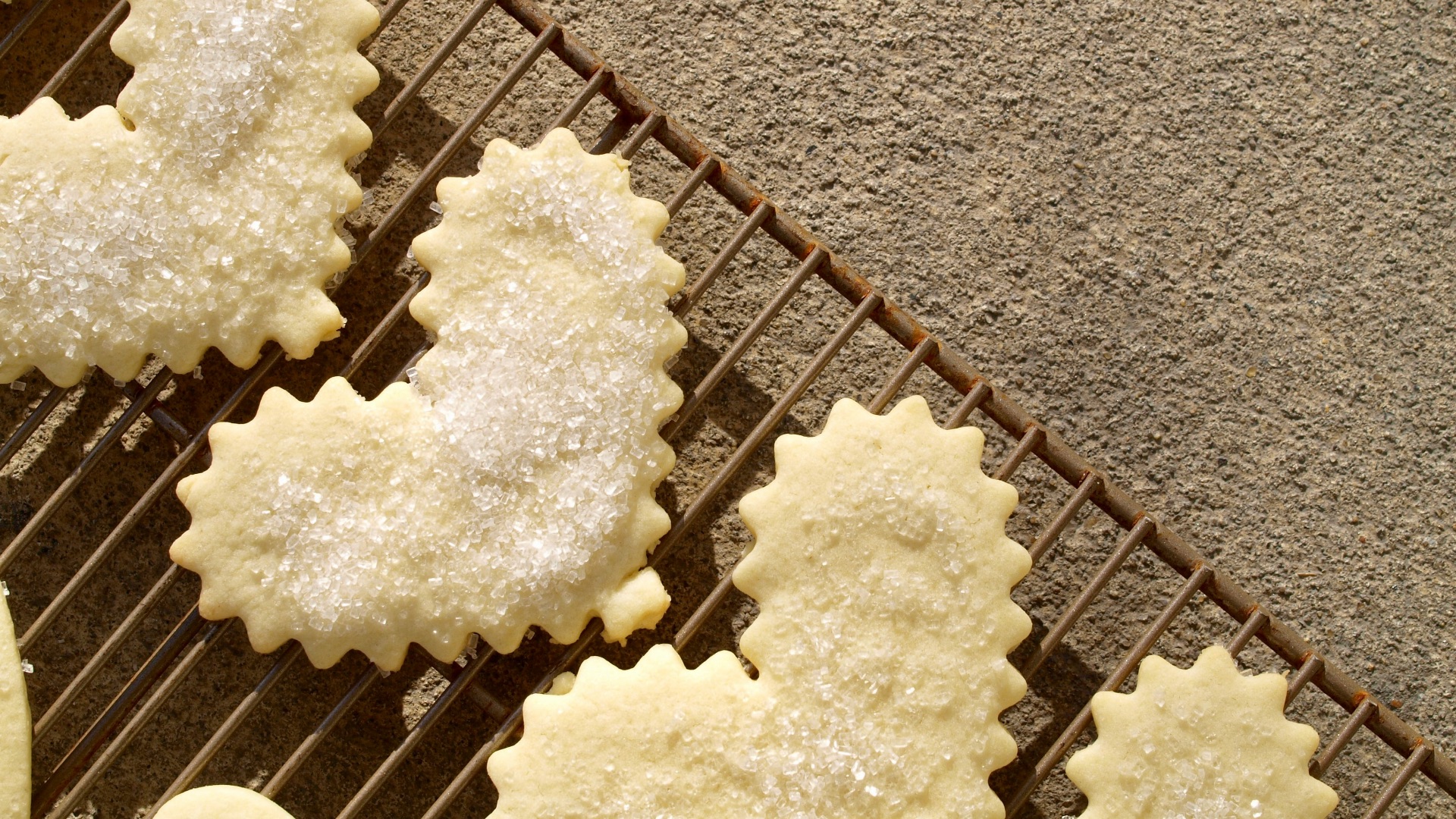 white snow on black metal fence