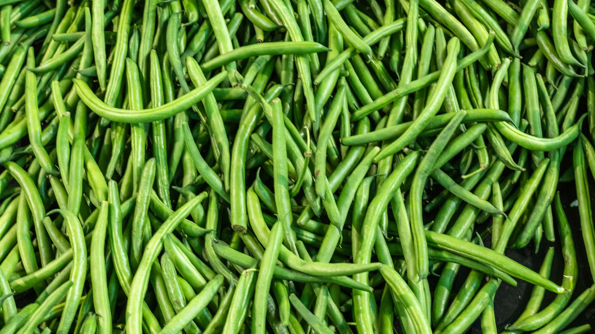 green leaves on black round plate