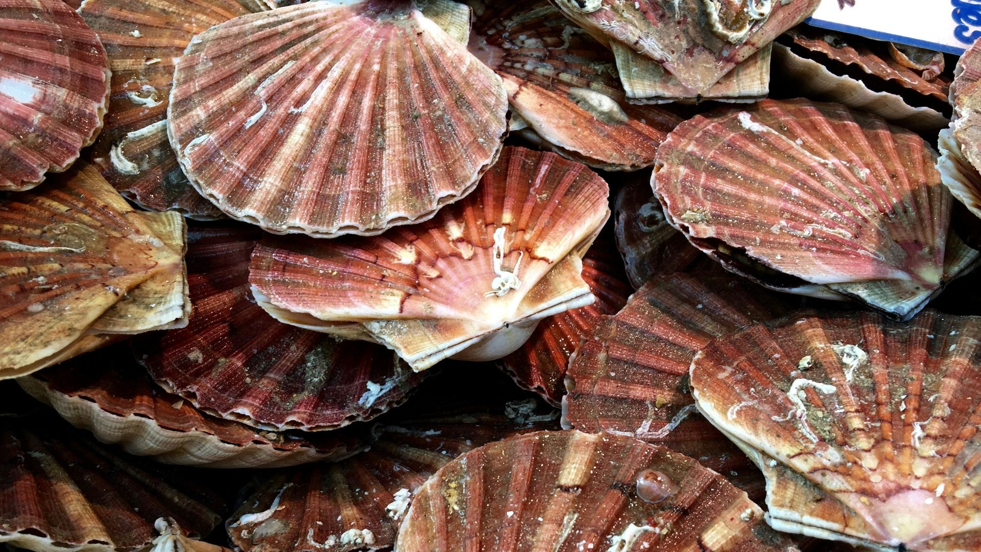 a pile of brown and red food
