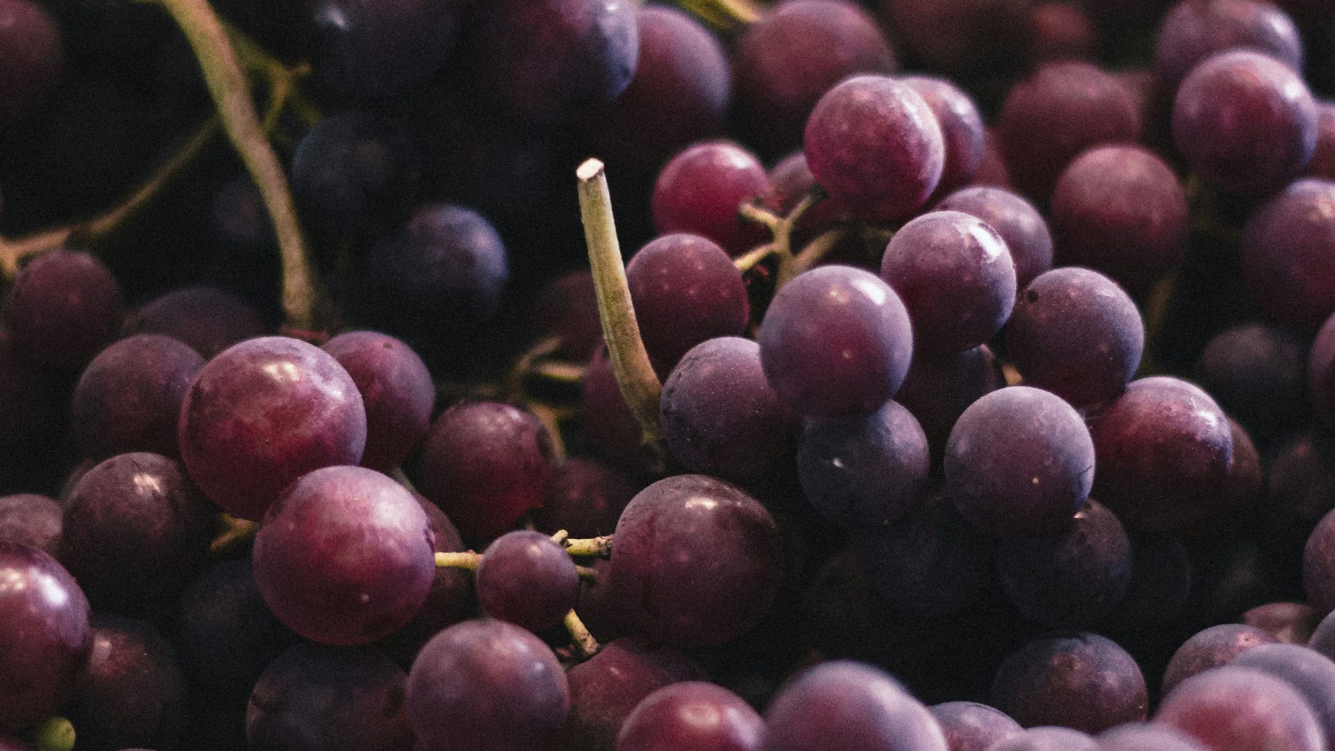 red and green round fruits