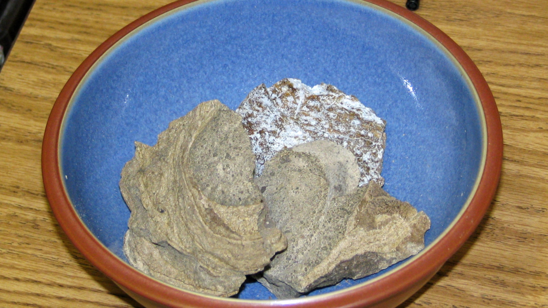 File:Ambergris.jpg