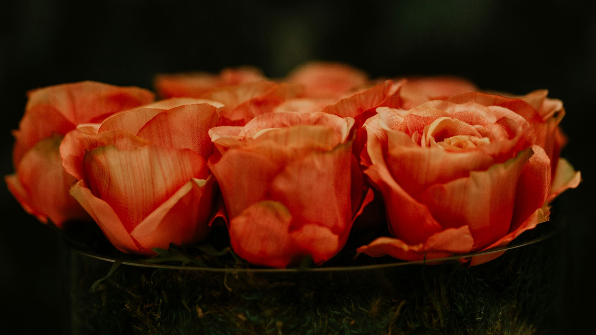 red flowers in bloom